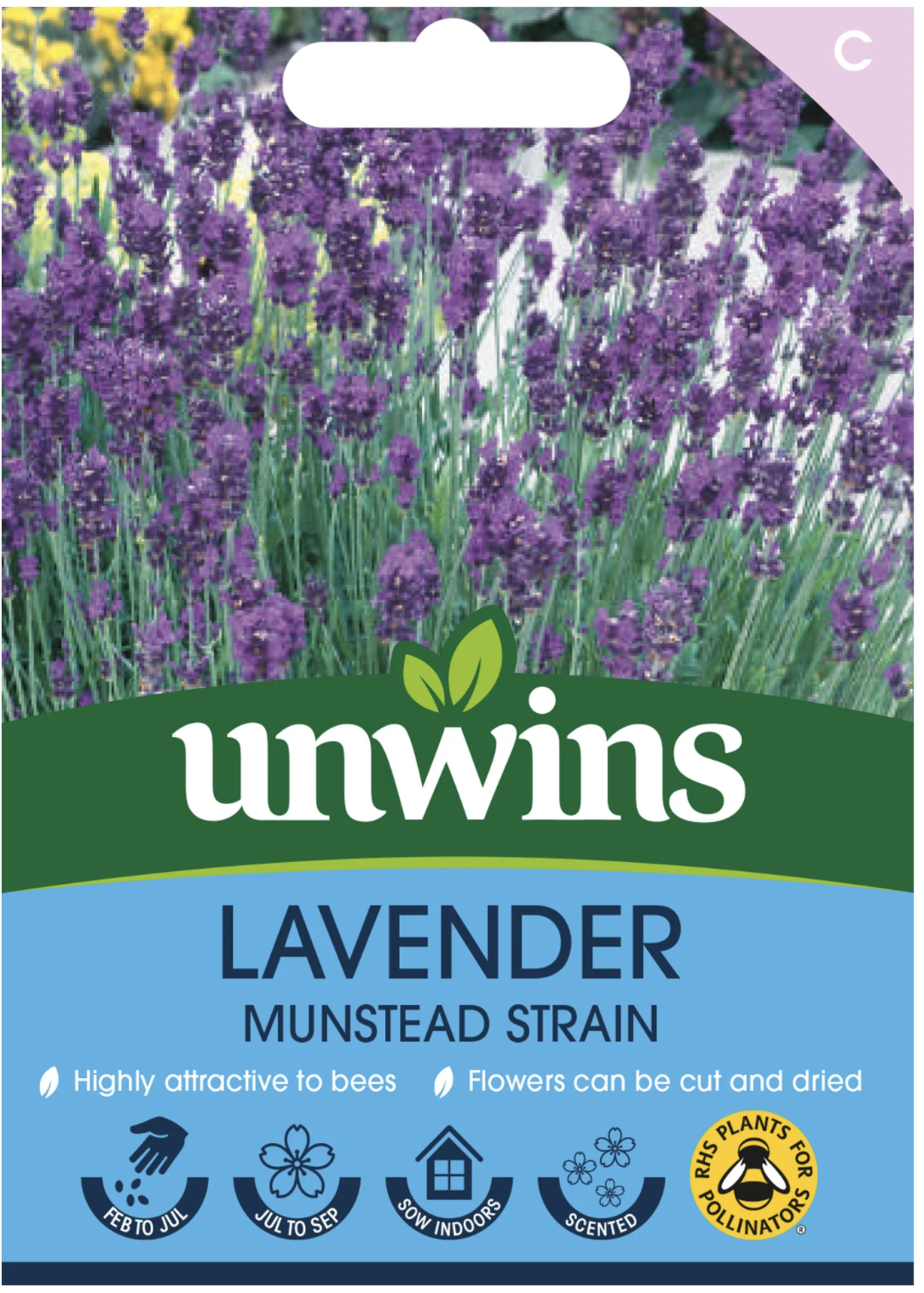 Unwins Lavender - Munstead Strain