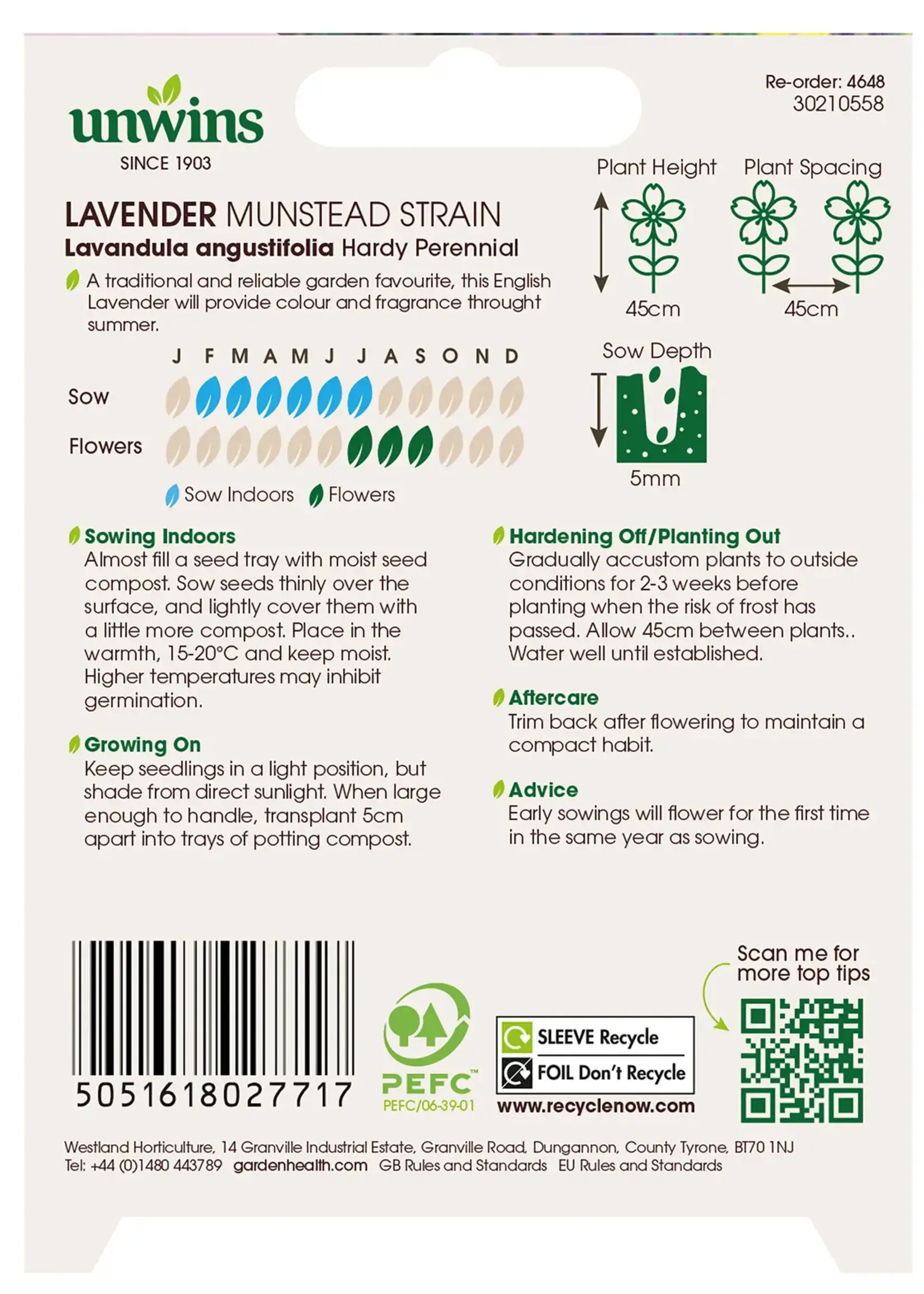 Unwins Lavender - Munstead Strain