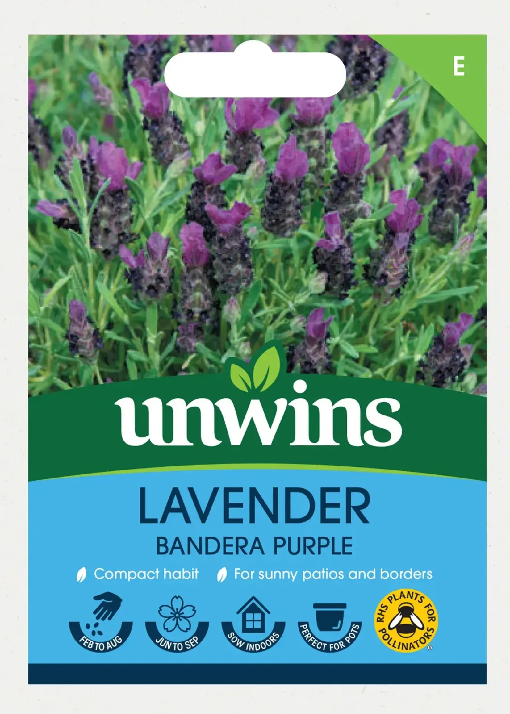 Unwins Lavender - Bandera Purple