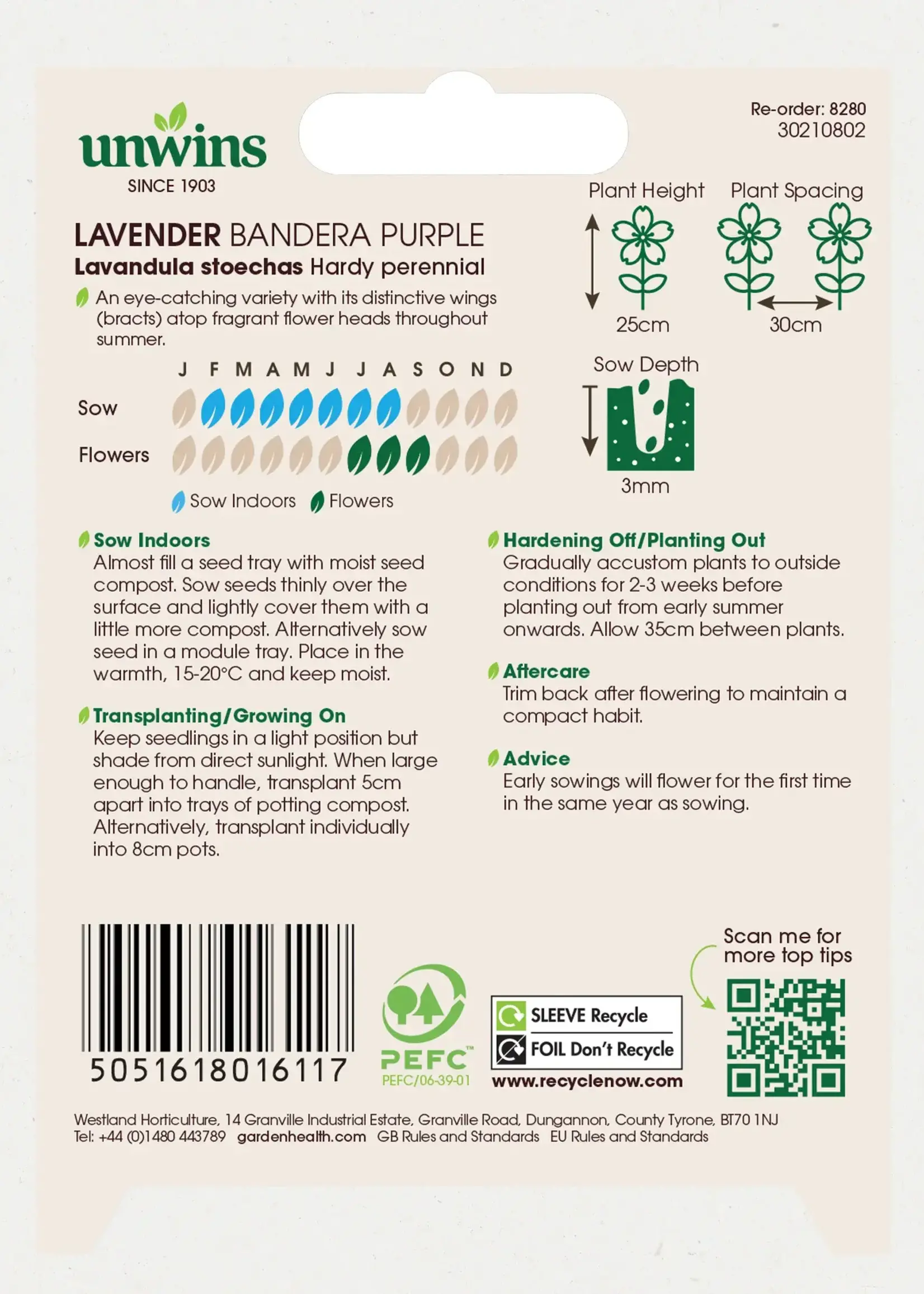 Unwins Lavender - Bandera Purple