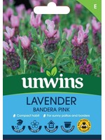 Unwins Lavender - Bandera Pink