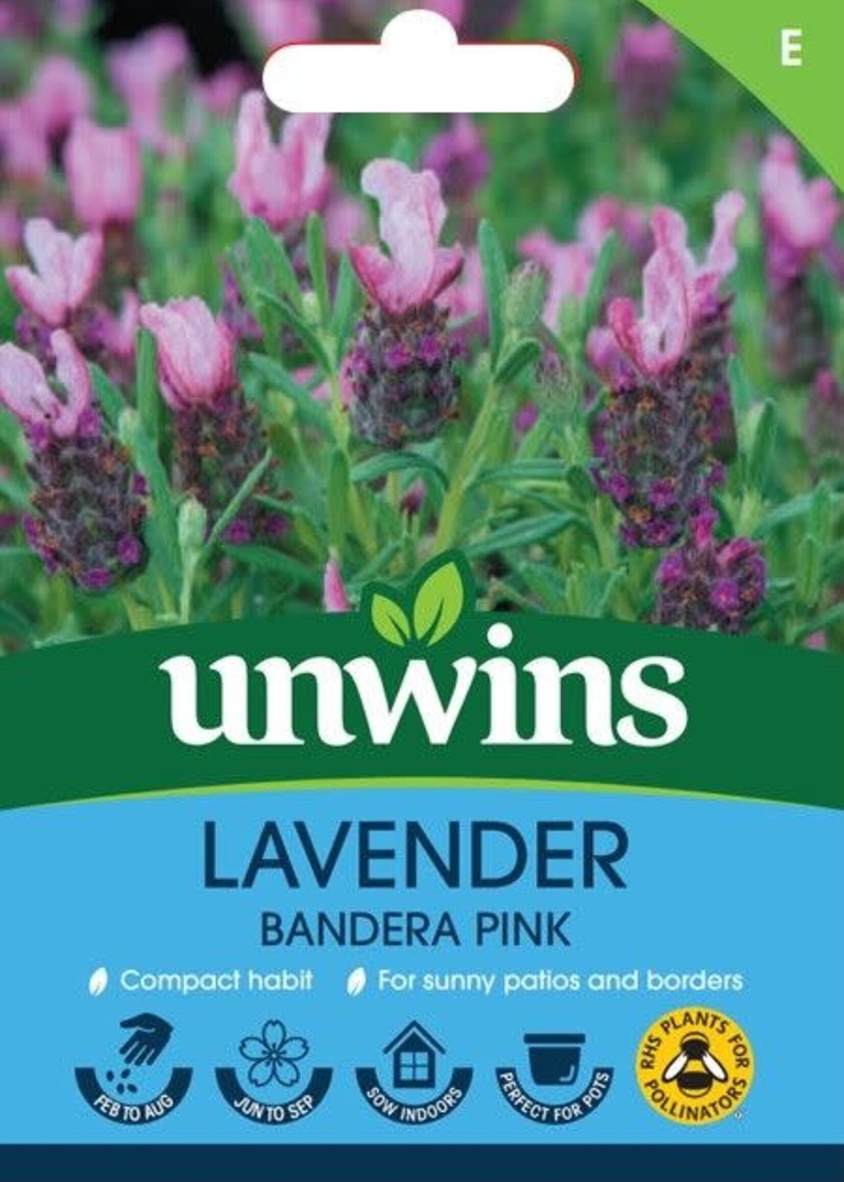 Unwins Lavender - Bandera Pink