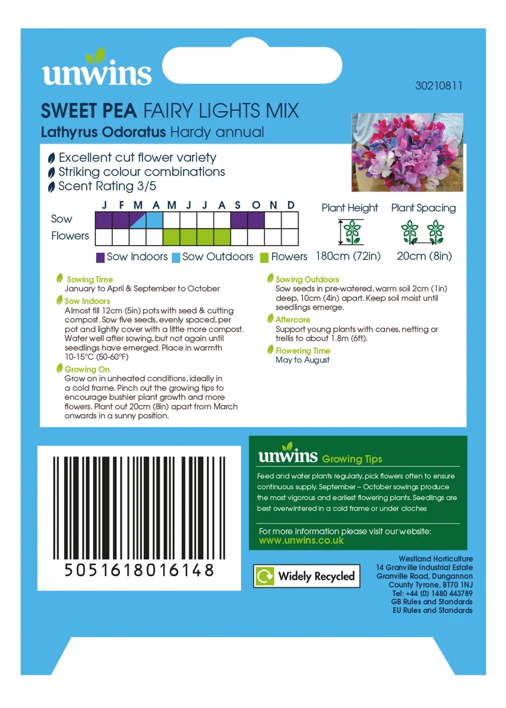 Unwins Sweet Pea - Fairy Lights Mix