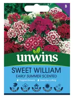Unwins Sweet William - Early Summer Scented