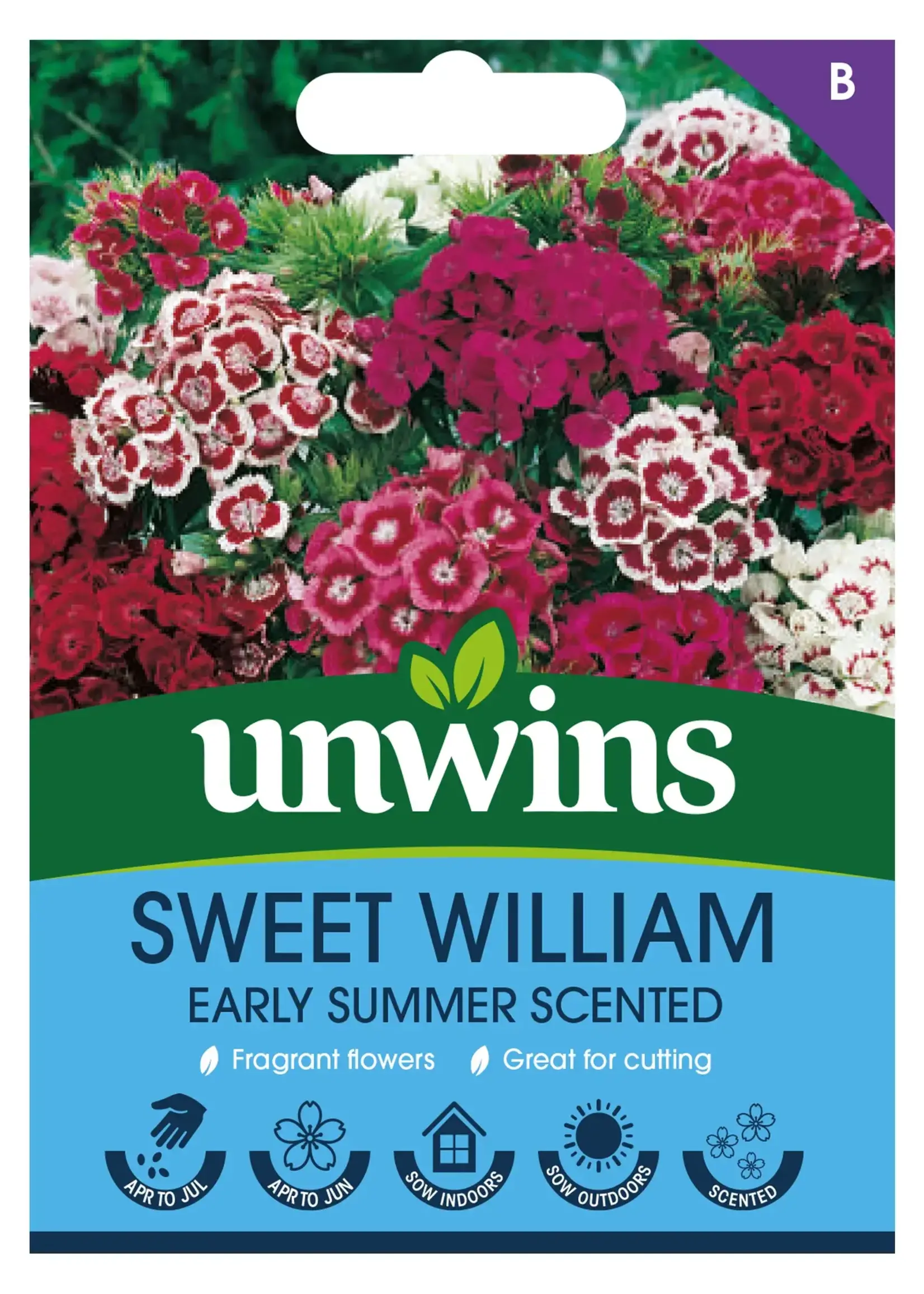 Unwins Sweet William - Early Summer Scented