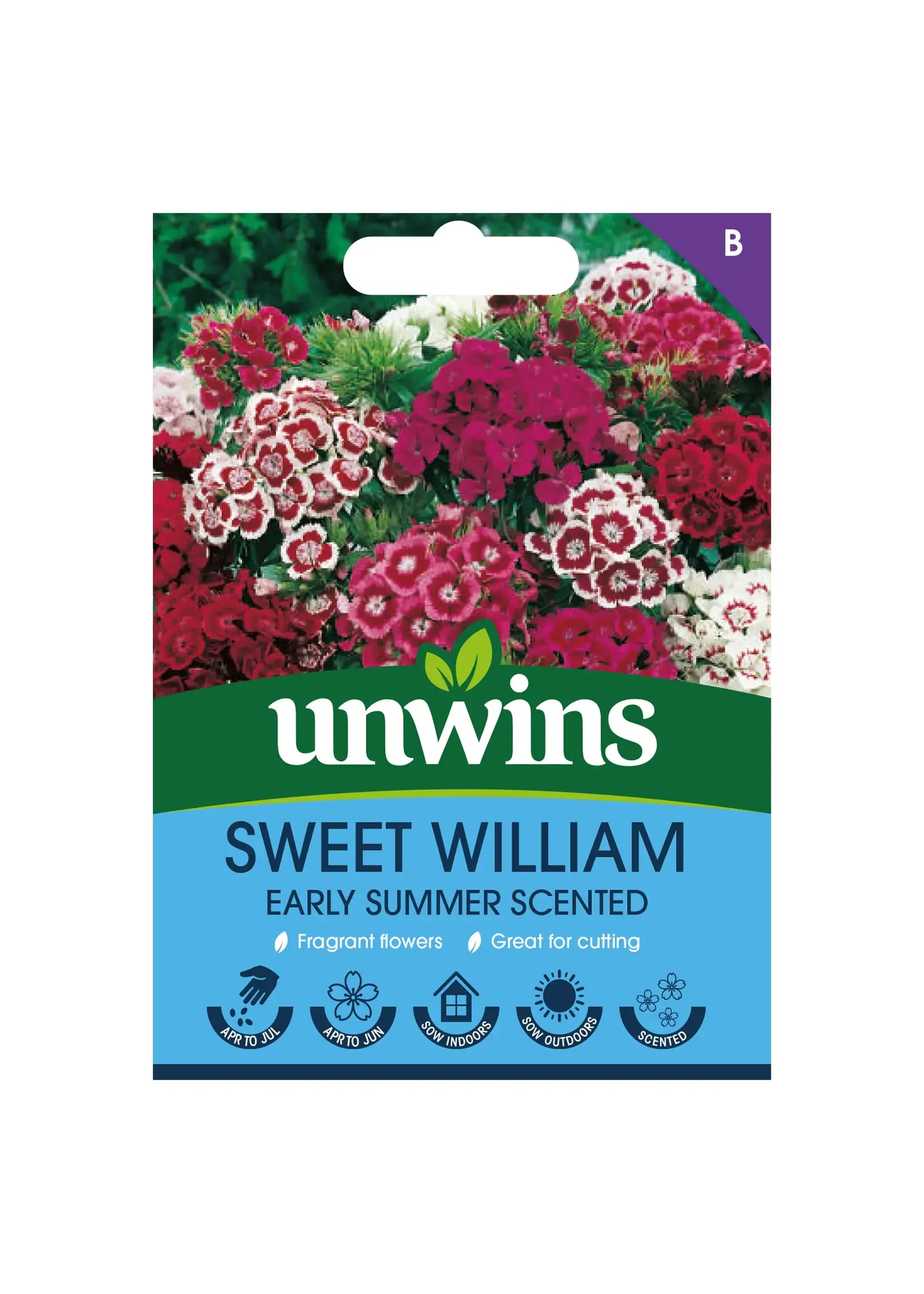 Unwins Sweet William - Early Summer Scented
