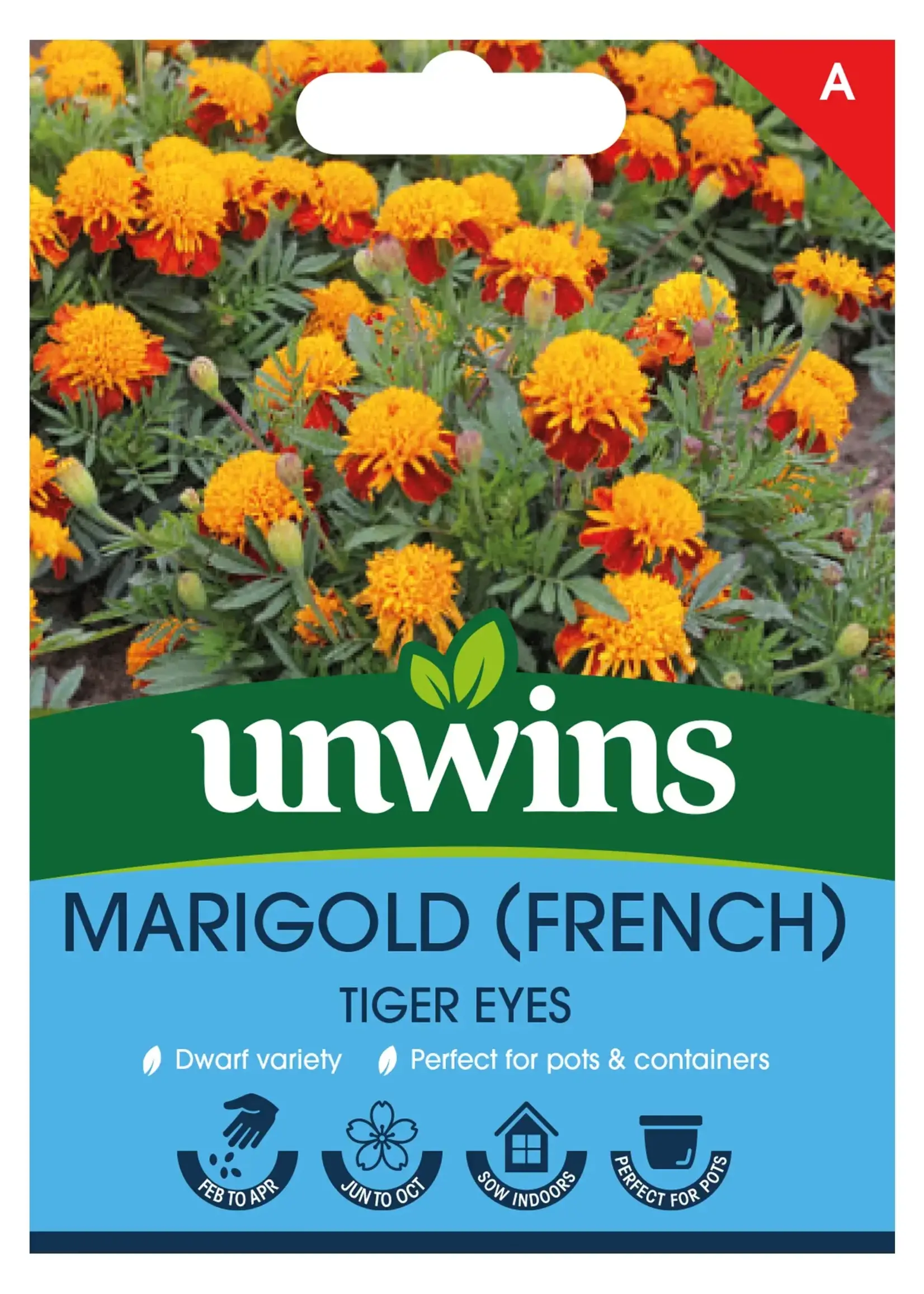 Unwins Marigold - (French) Tiger Eyes