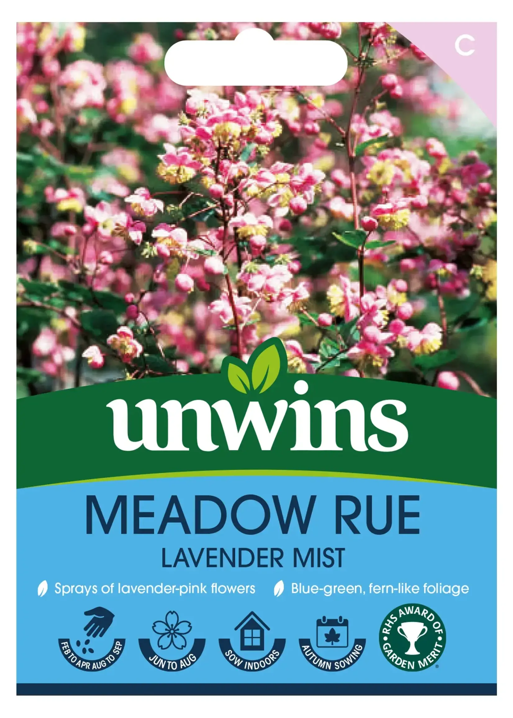 Unwins Meadow Rue - Lavender Mist