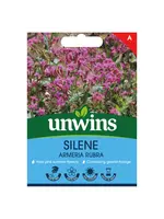 Unwins Silene - Armeria Rubra