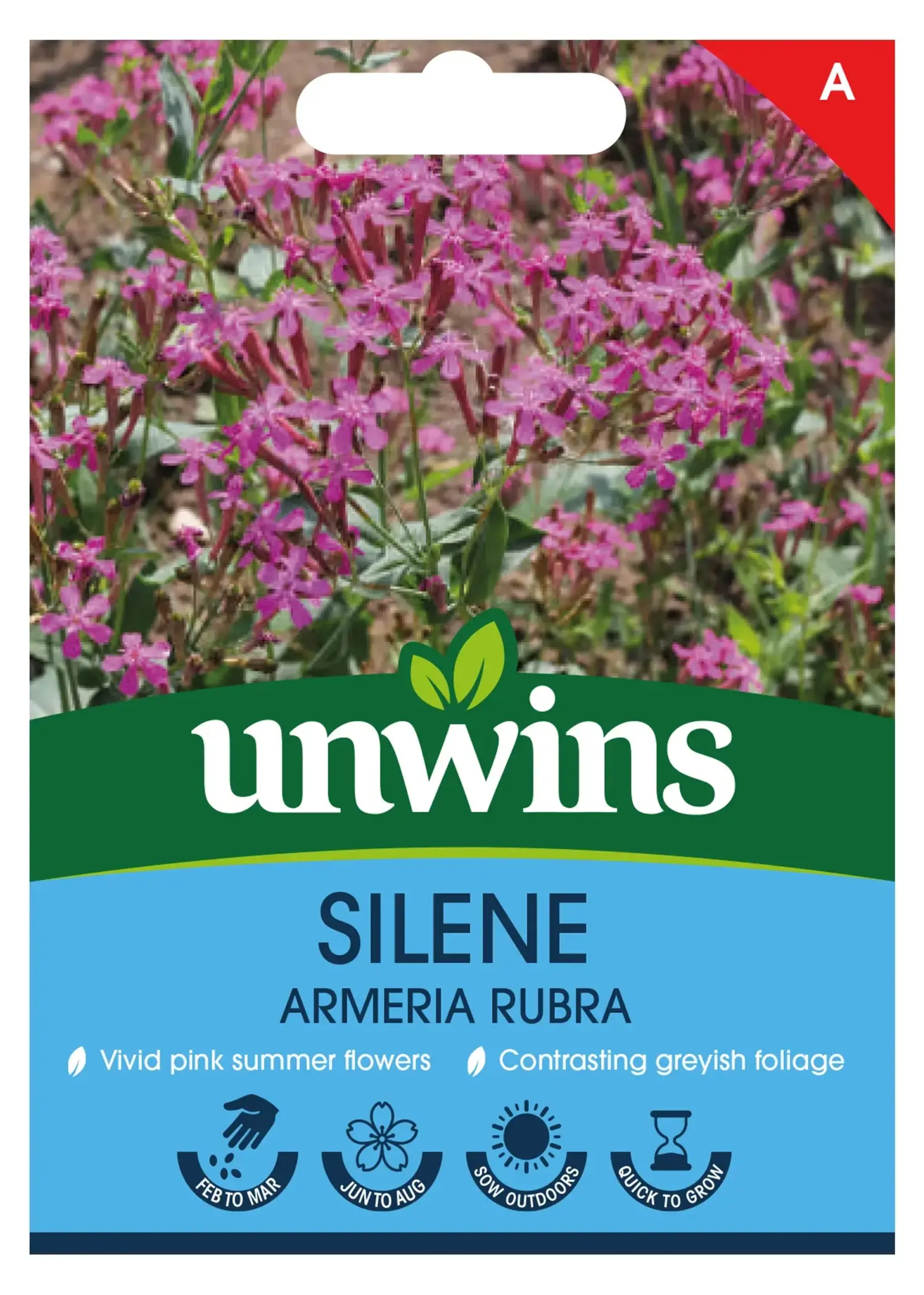Unwins Silene - Armeria Rubra