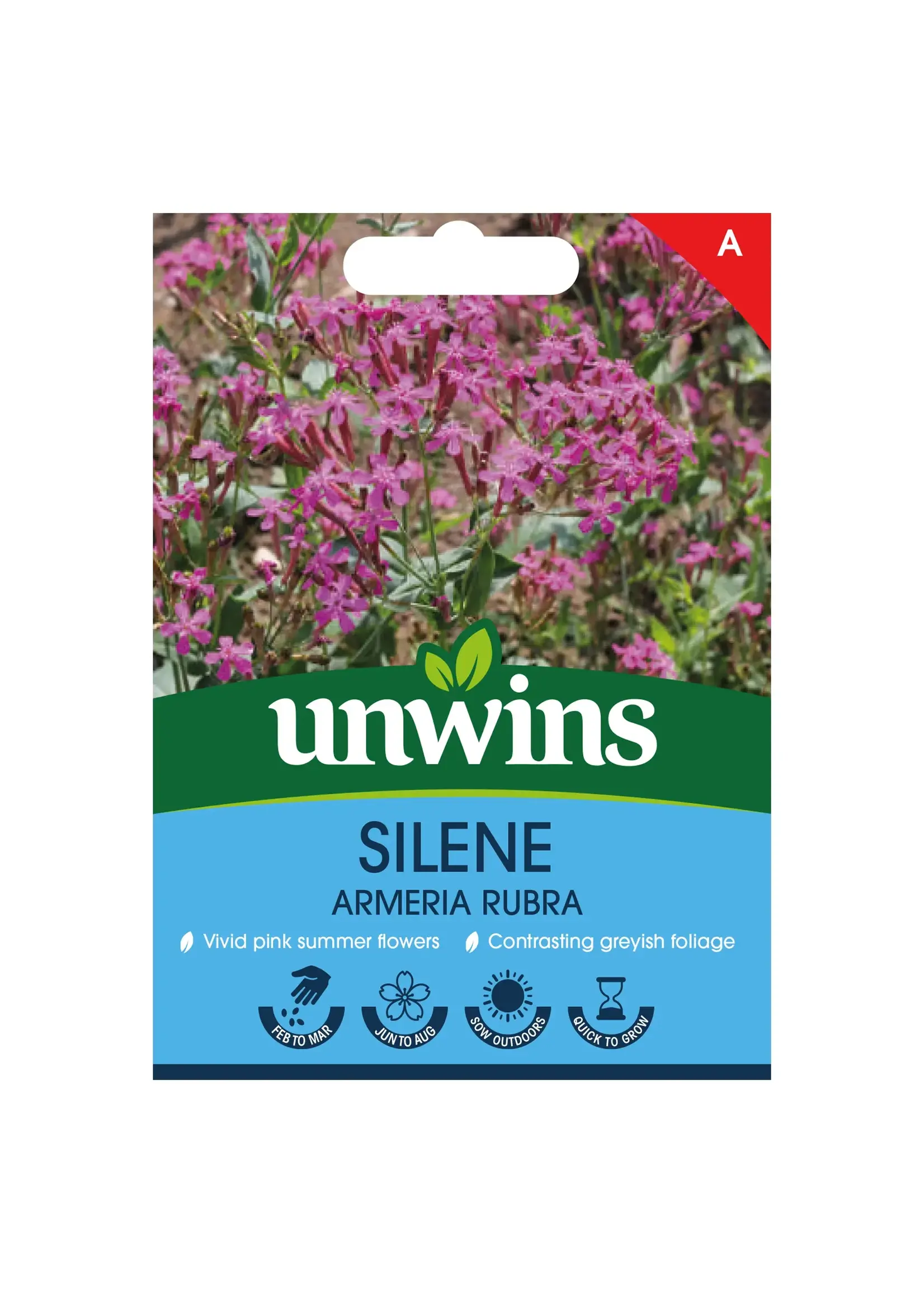 Unwins Silene - Armeria Rubra