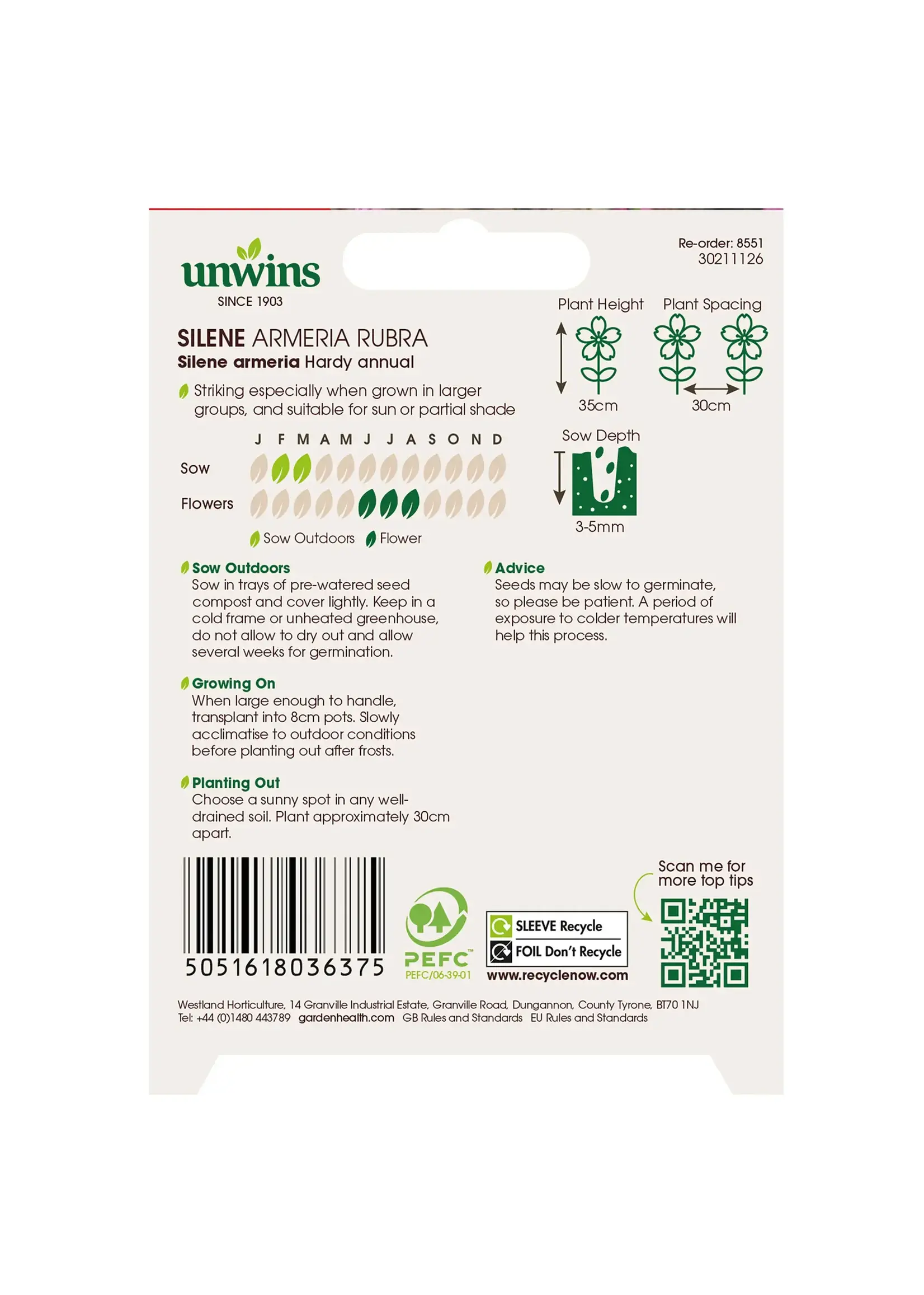 Unwins Silene - Armeria Rubra