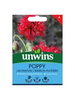 Unwins Poppy - Laciniatum Crimson Feathers