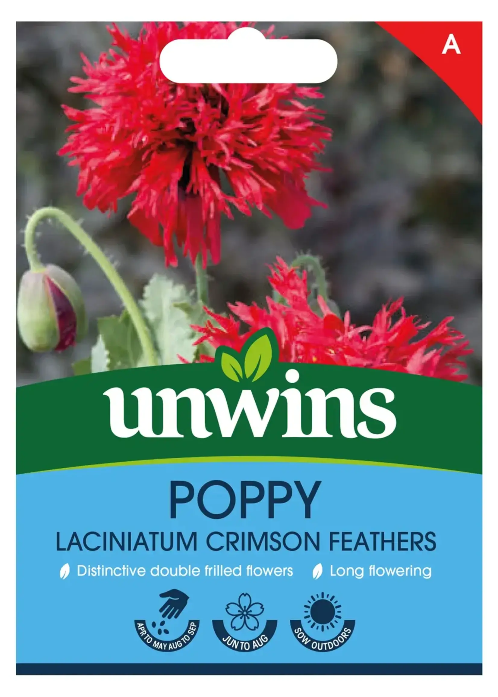 Unwins Poppy - Laciniatum Crimson Feathers