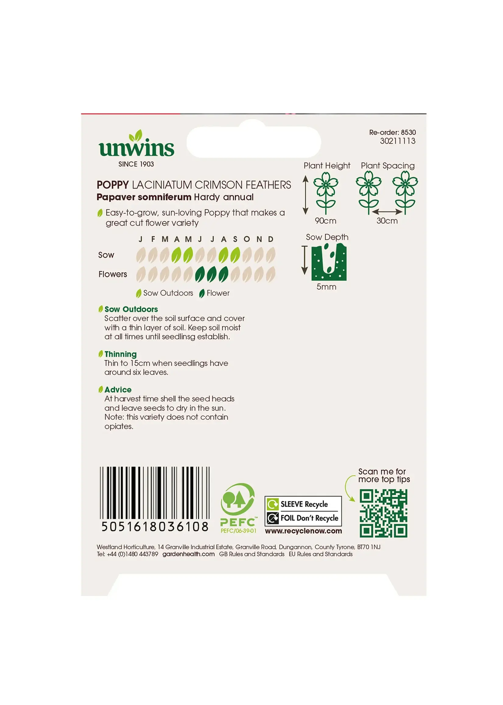 Unwins Poppy - Laciniatum Crimson Feathers