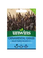 Unwins Ornamental Grass - Millet Purple Majesty F1