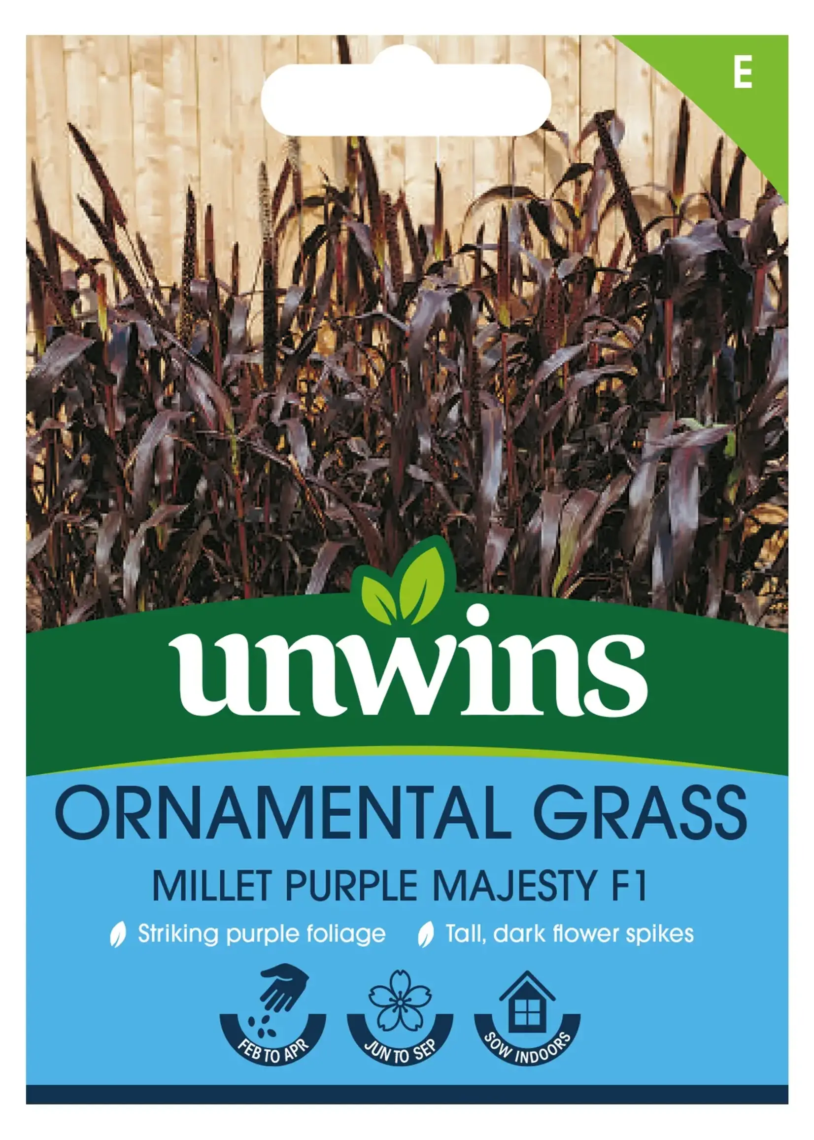 Unwins Ornamental Grass - Millet Purple Majesty F1