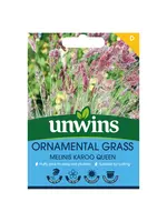 Unwins Ornamental Grass - Melinis Karoo Queen