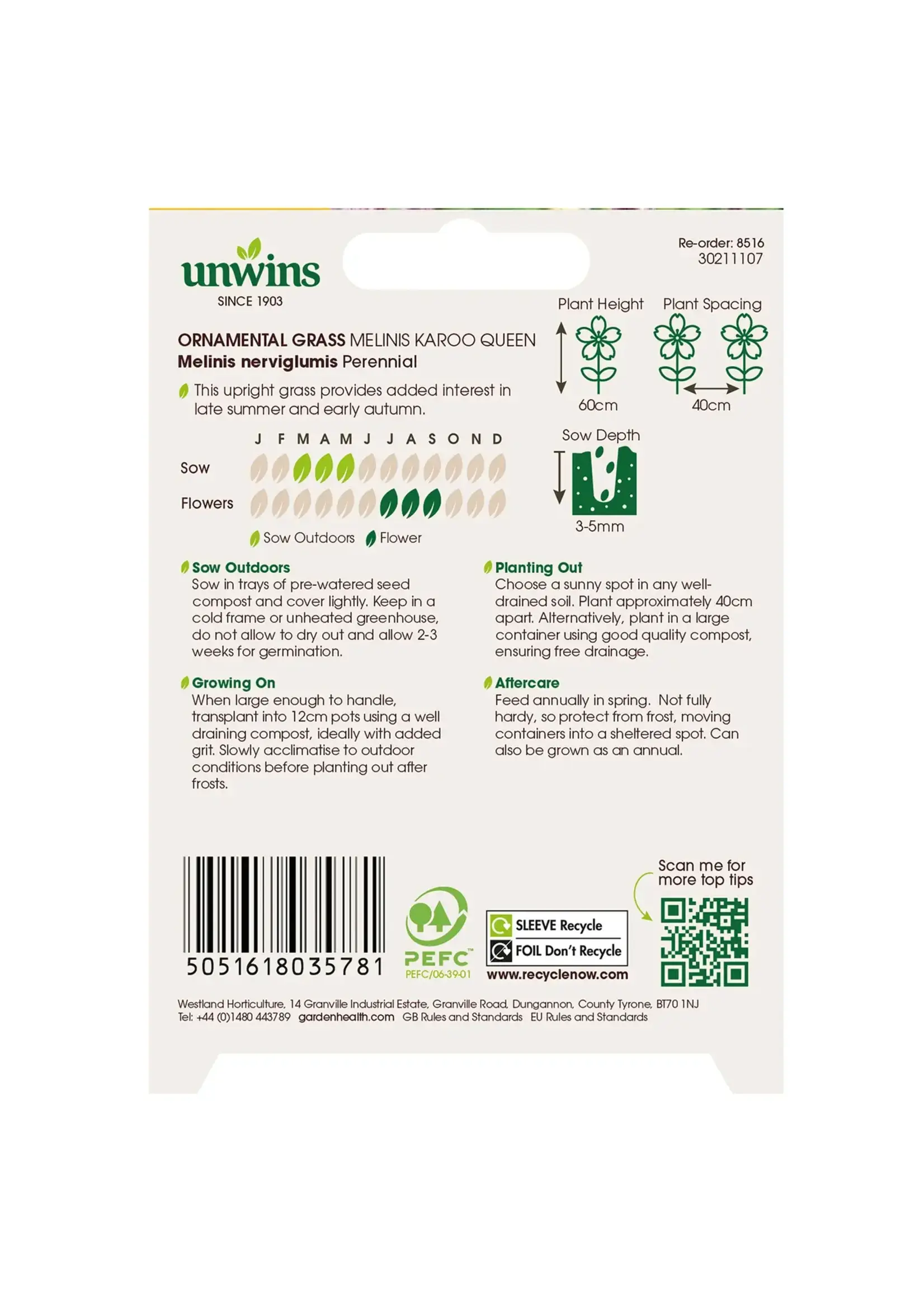 Unwins Ornamental Grass - Melinis Karoo Queen