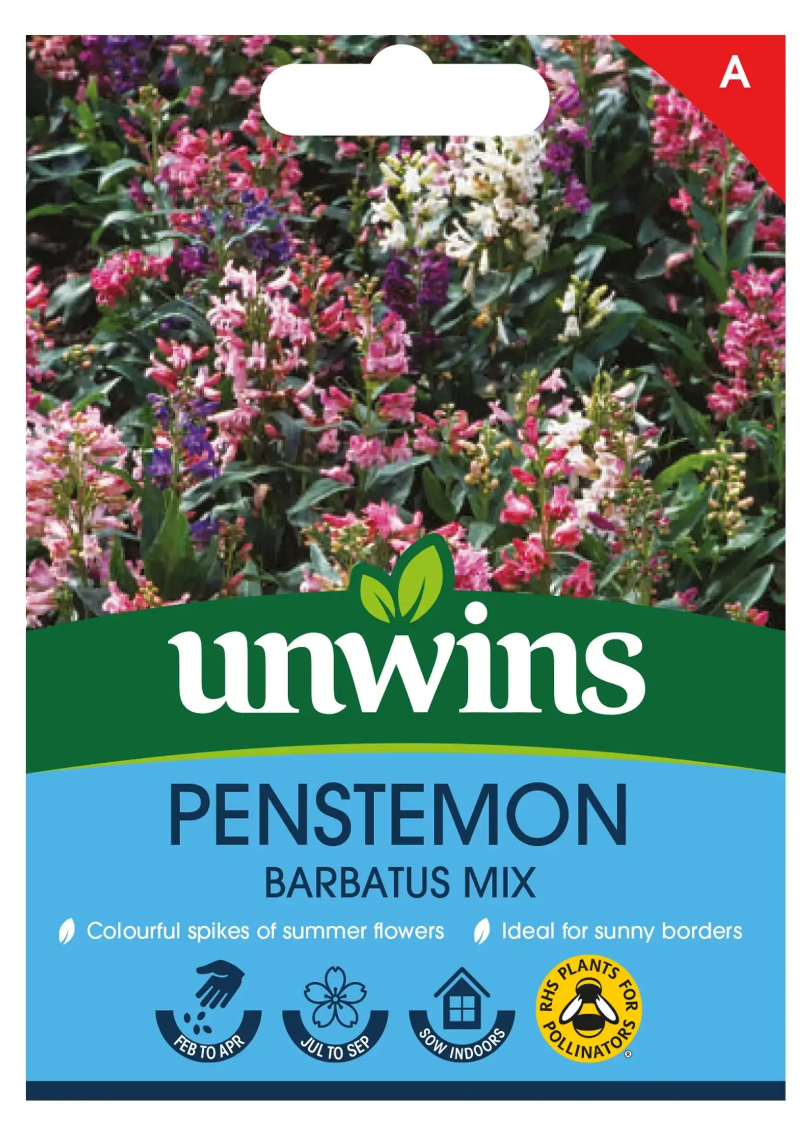 Unwins Penstemon - Barbatus Mix
