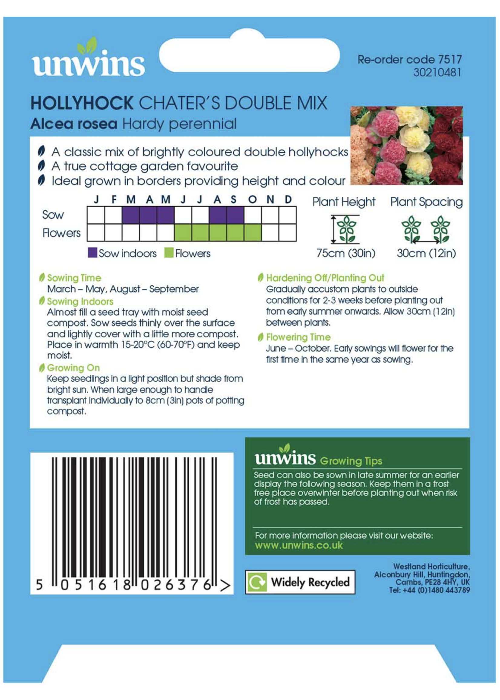 Unwins Hollyhock - Chater's Double Mix