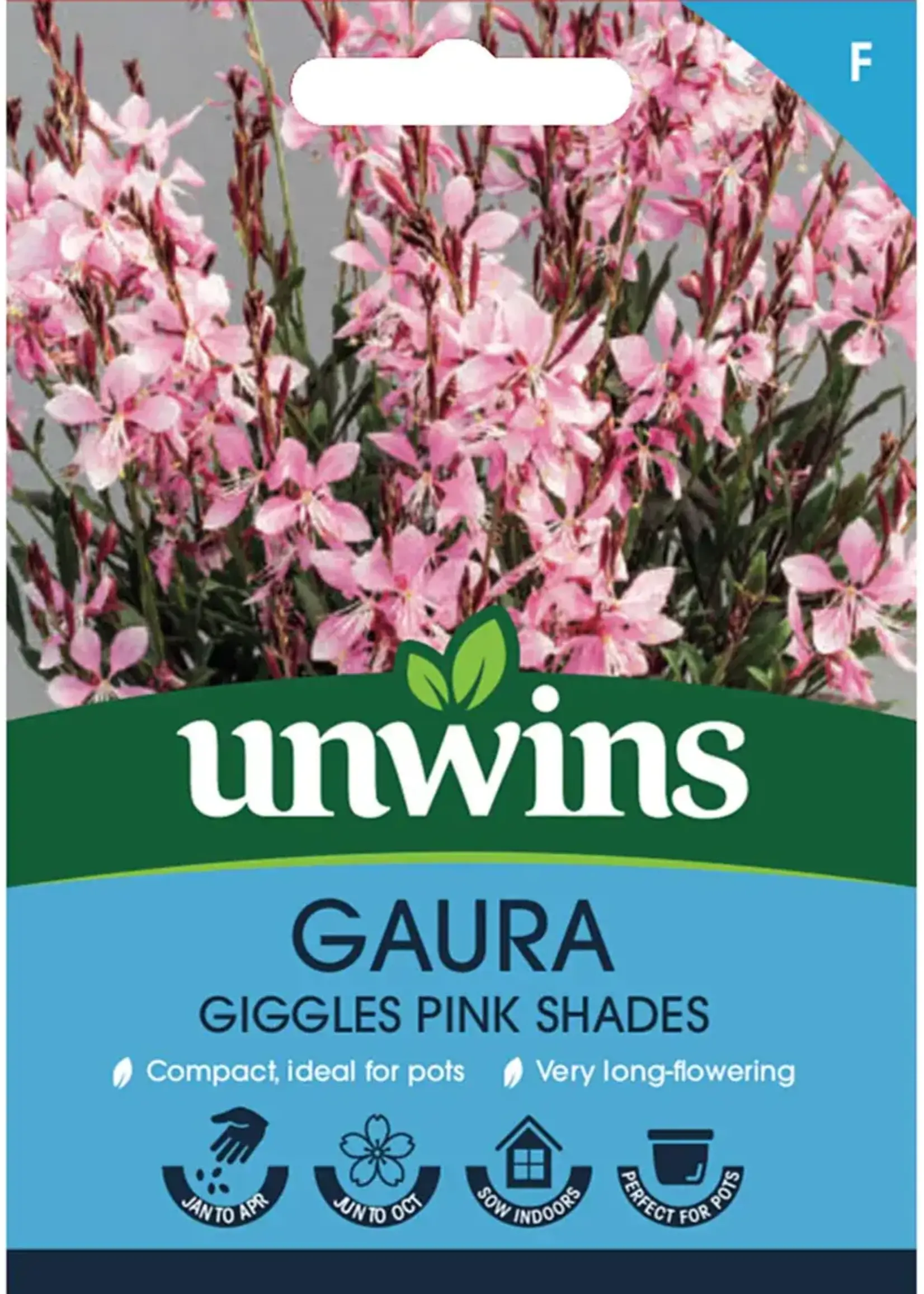 Unwins Gaura - Giggles Pink Shades