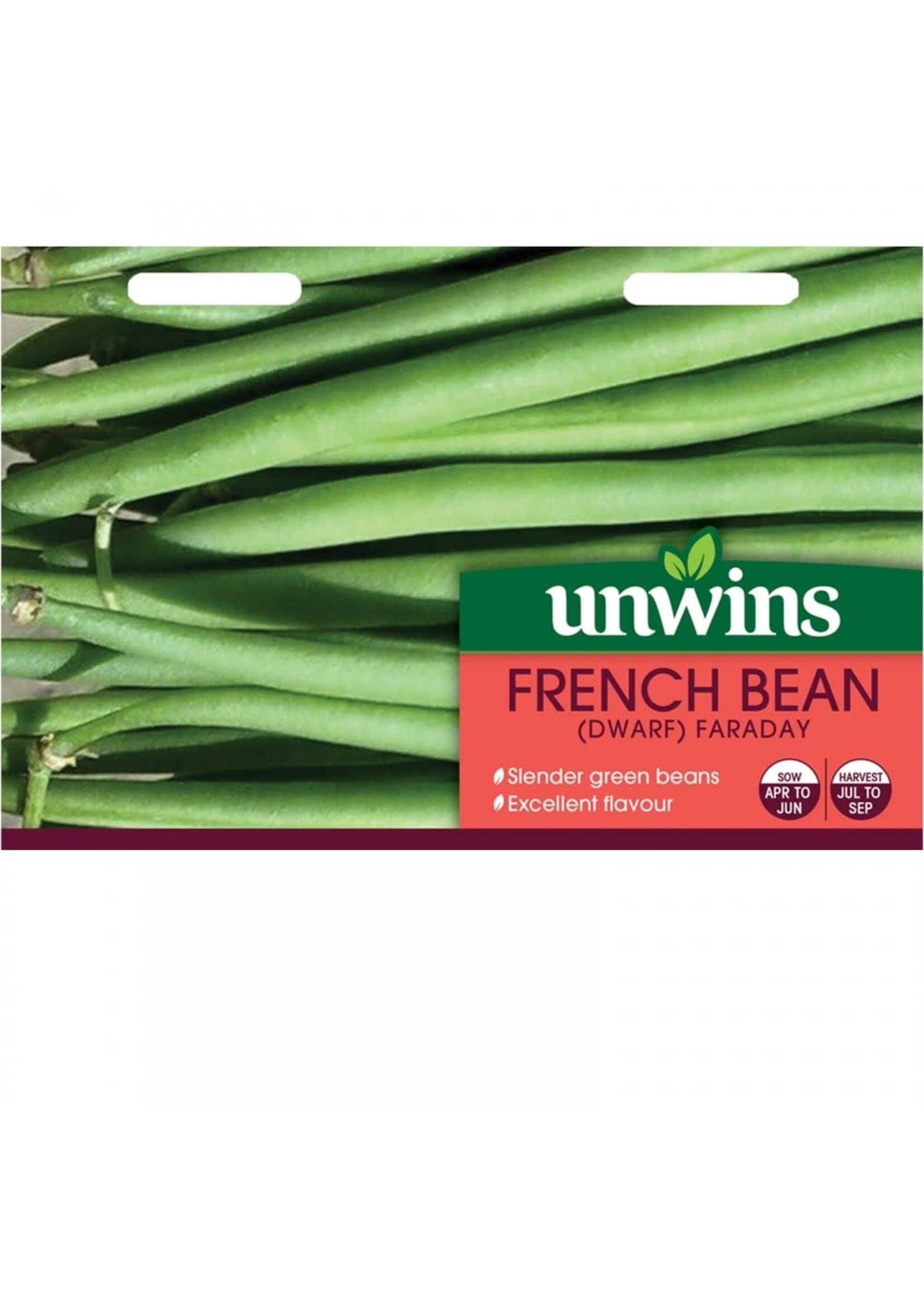 Unwins French Bean (Dwarf) - Faraday