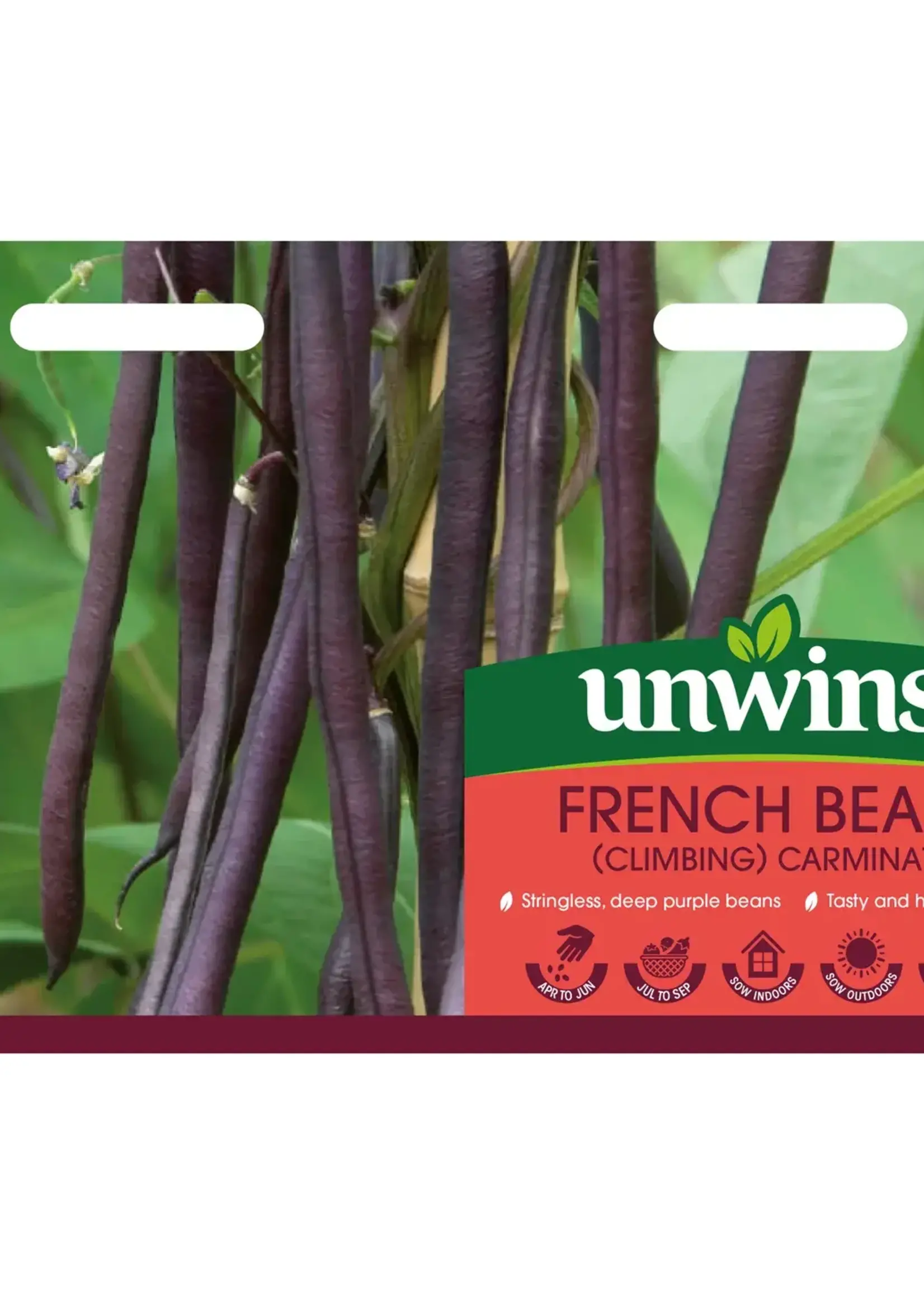 Unwins French Bean - (Climbing) Carminat