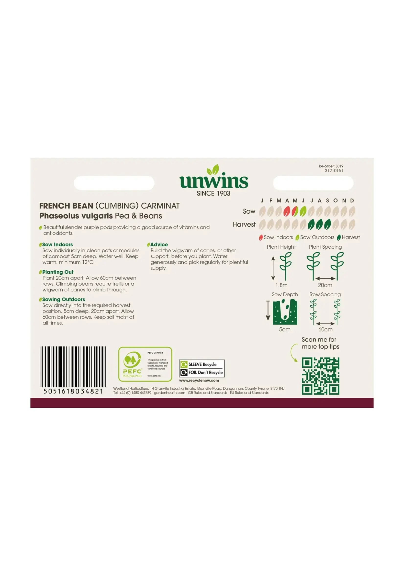 Unwins French Bean - (Climbing) Carminat