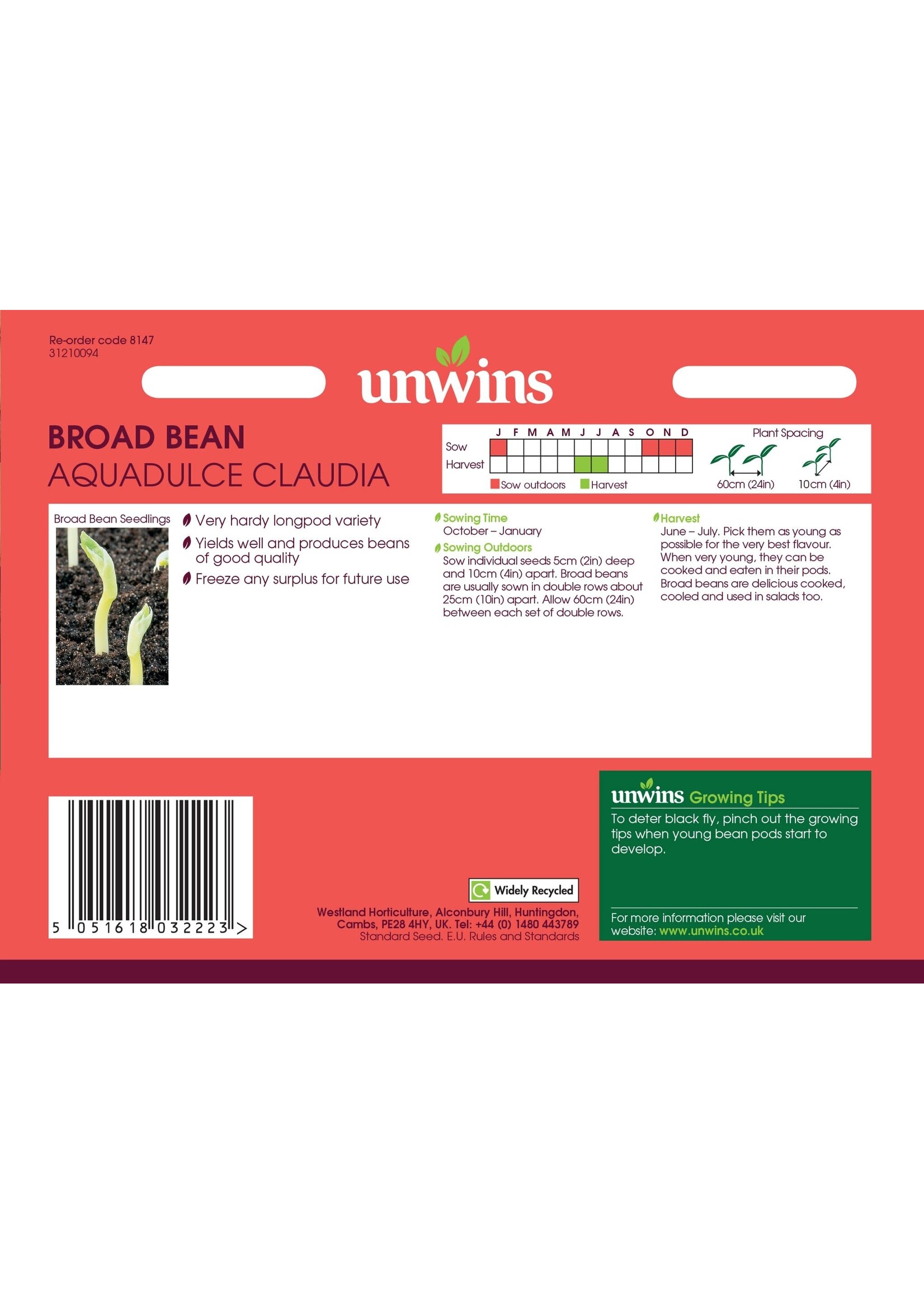 Unwins Broad Bean - Aquadulce Claudia
