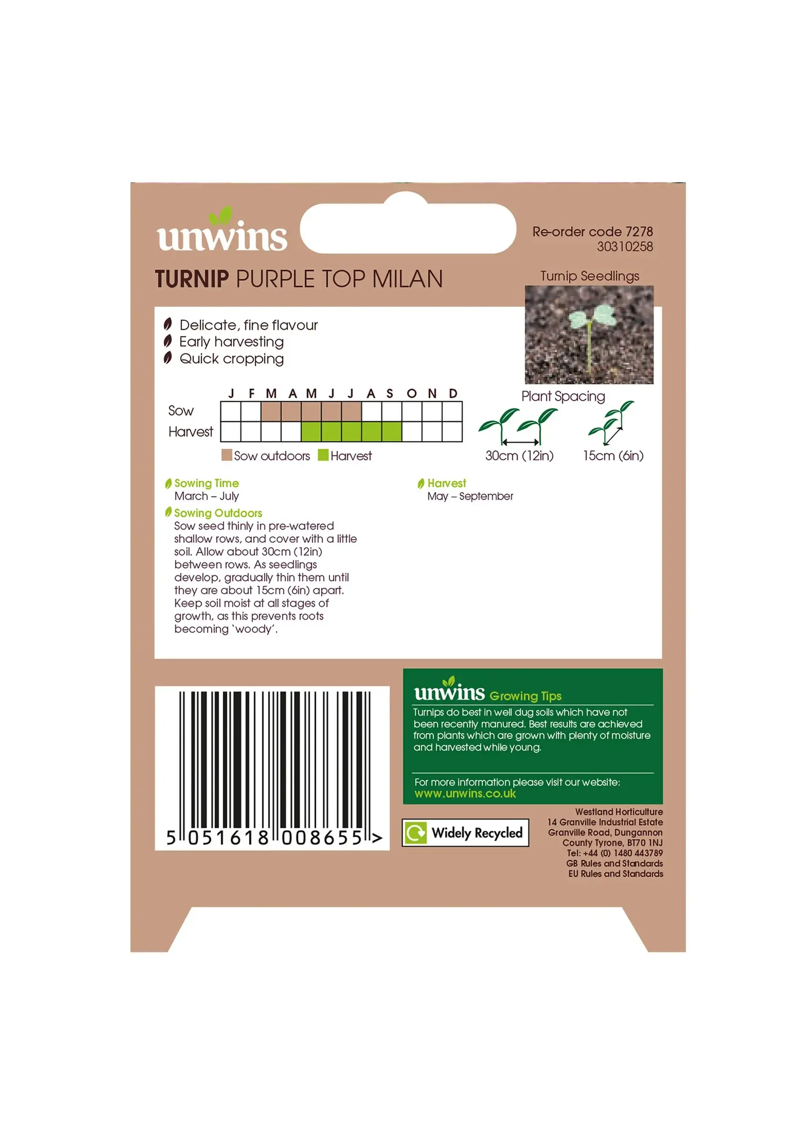 Unwins Turnip - Purple Top Milan