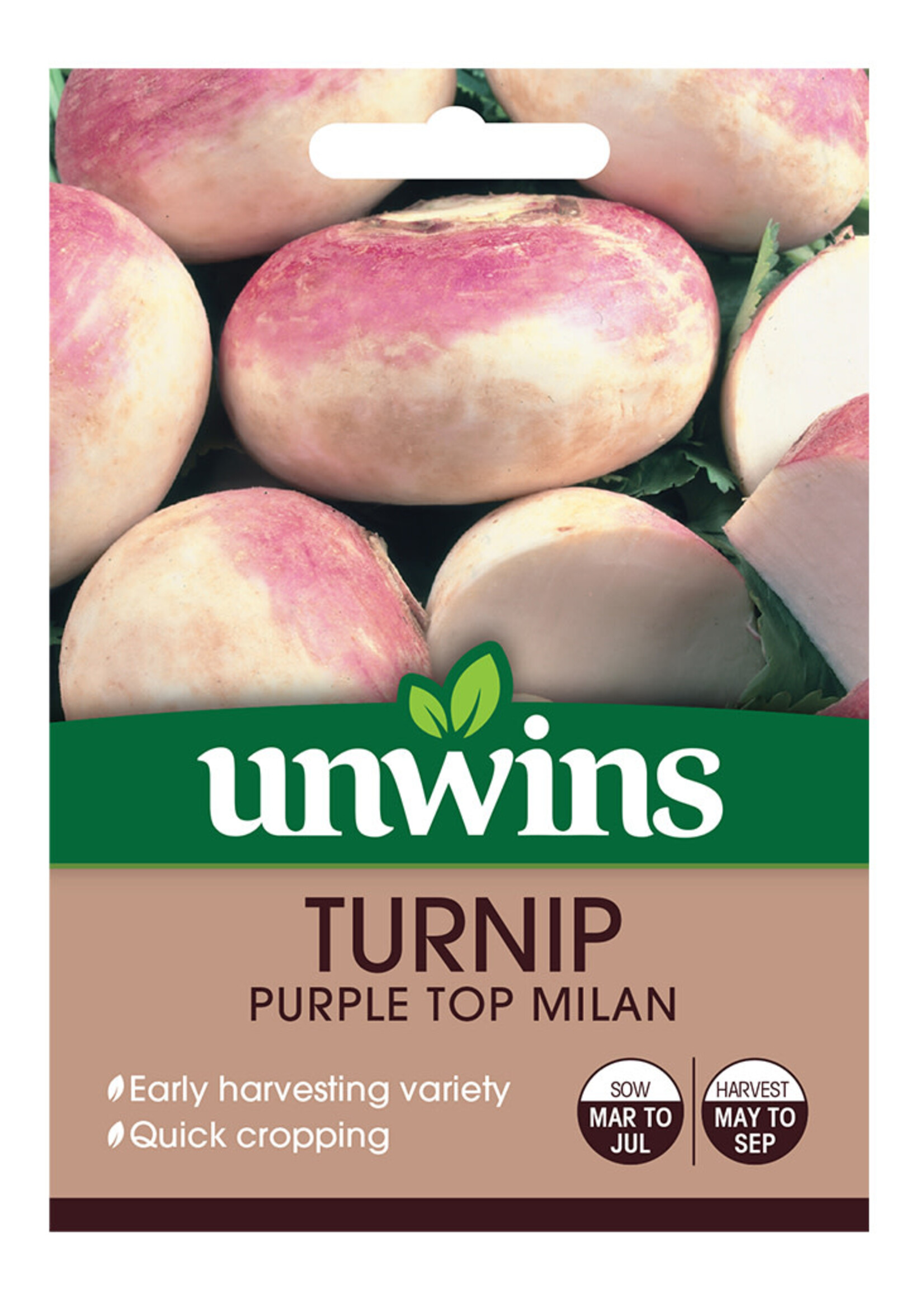 Unwins Turnip - Purple Top Milan