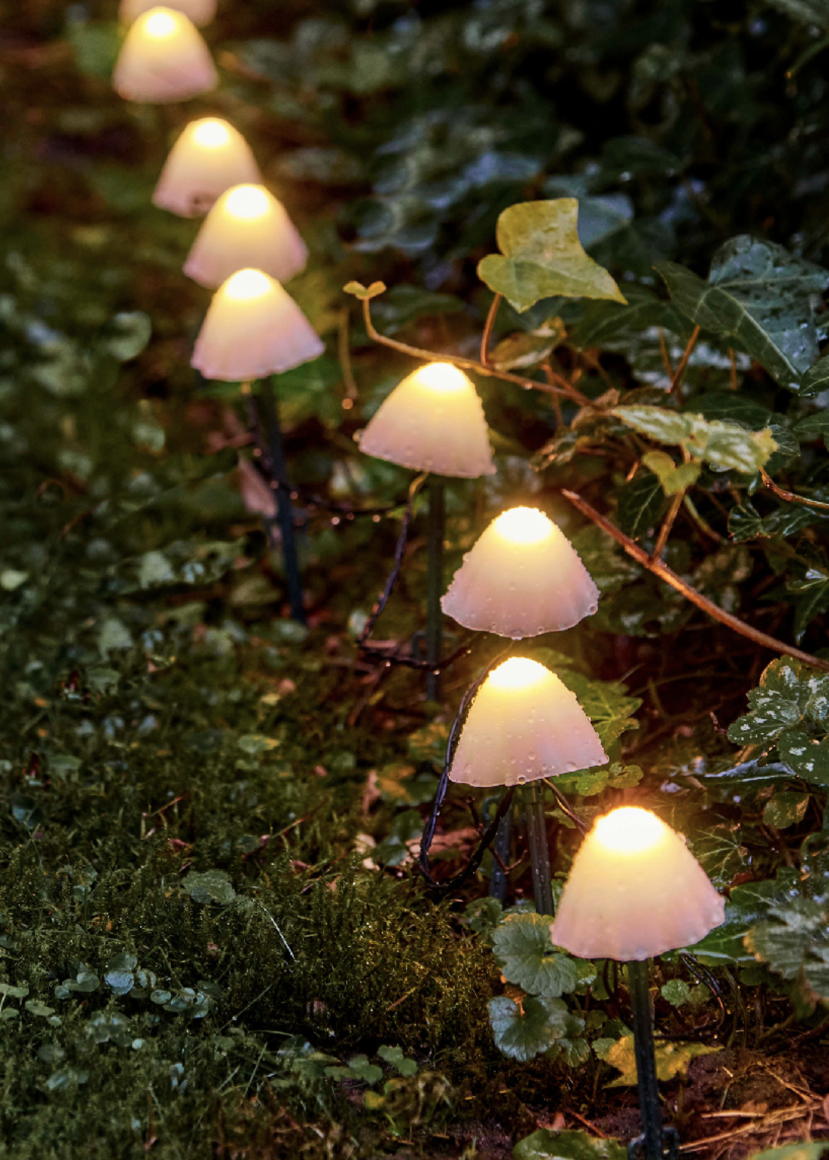 Lumineo Mushrooms Warm White 20 LED Stakes Battery Outdoor