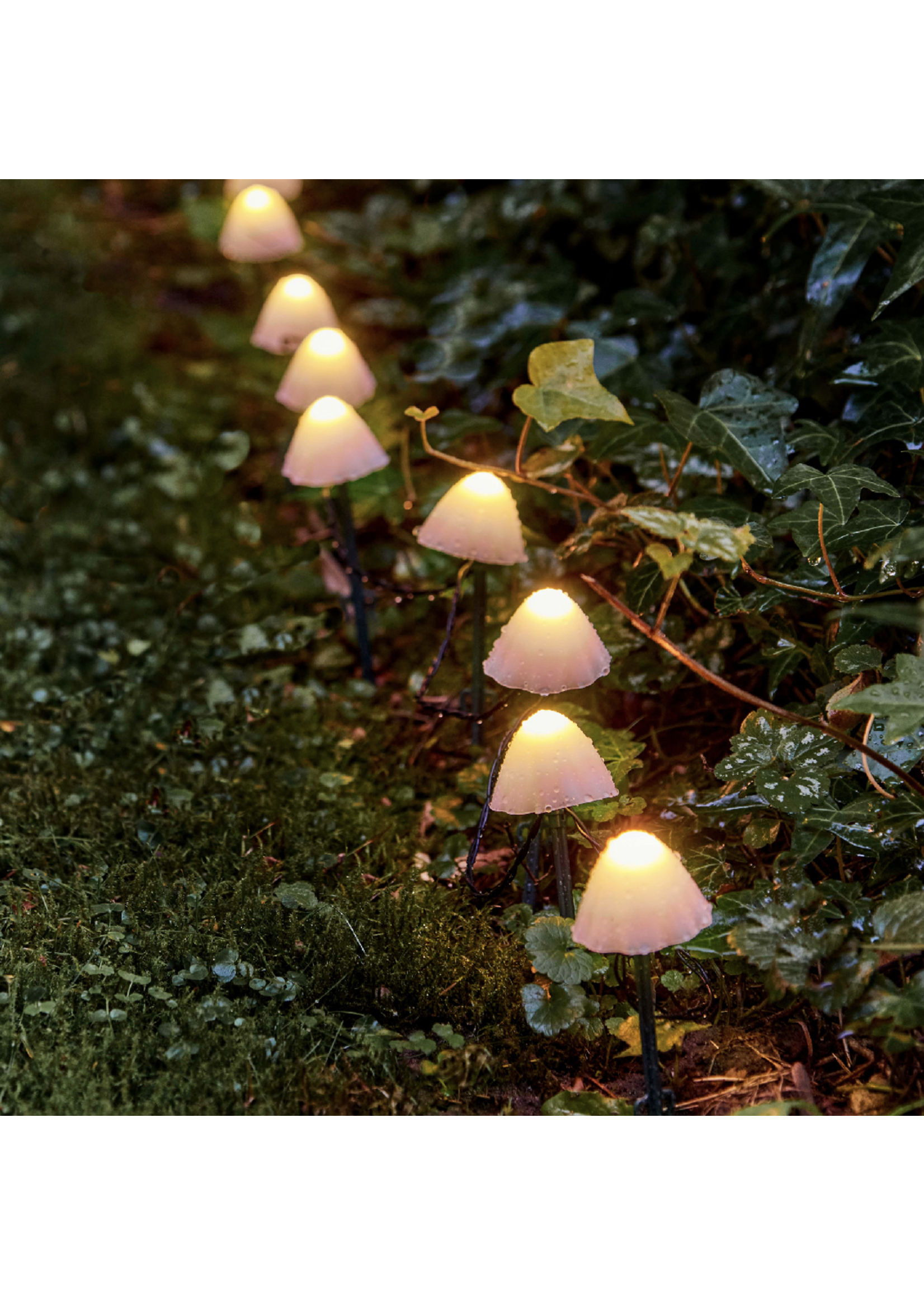 Lumineo Mushrooms Warm White 20 LED Stakes Battery Outdoor