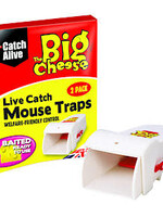 The Big Cheese (STV ) Live Catch Mouse Trap twin pack