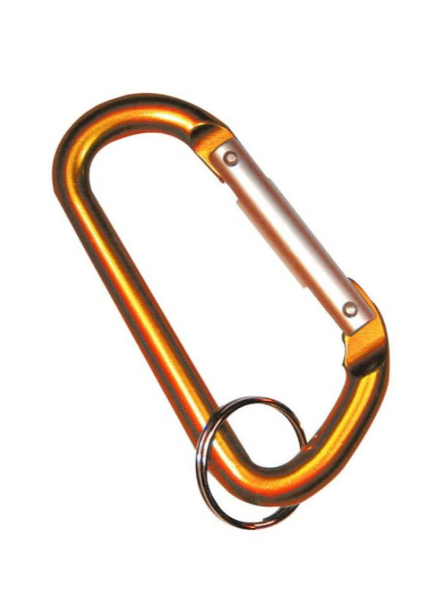 Coloured Carabiner Key Ring - Small