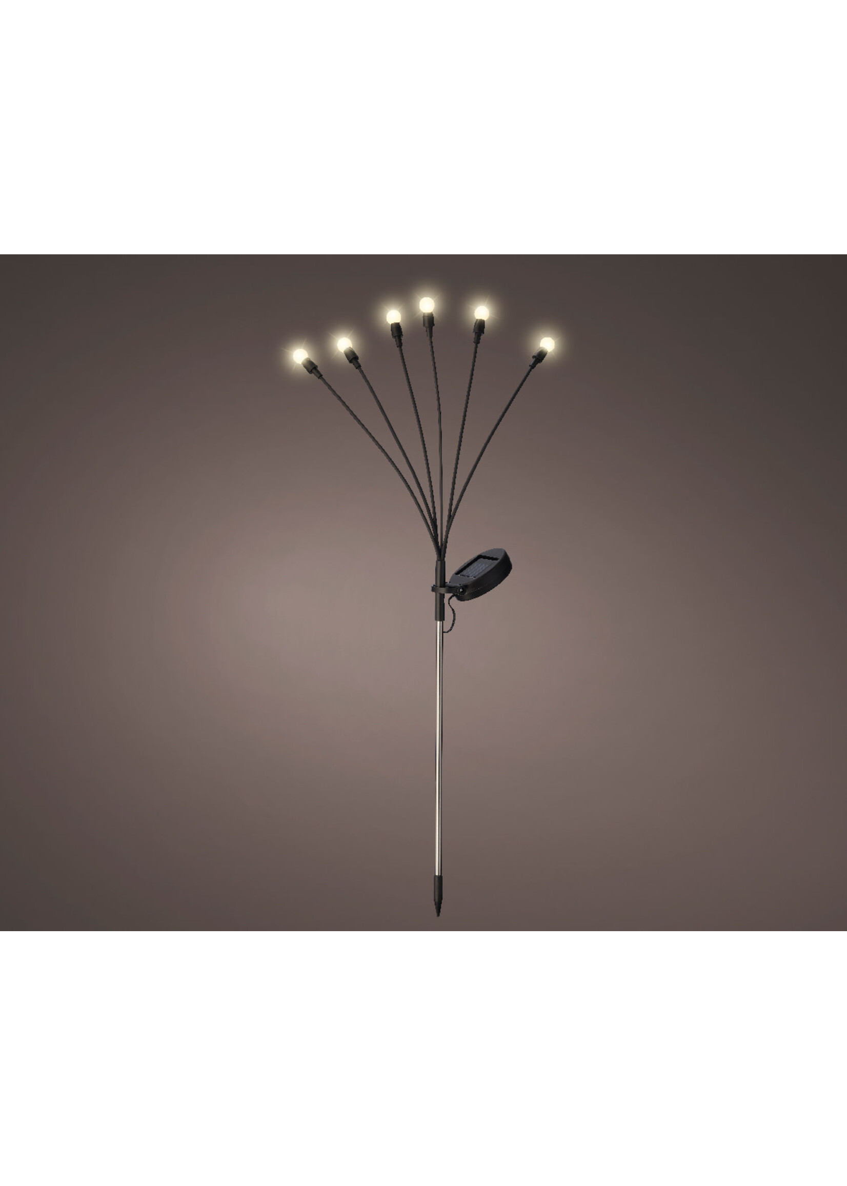 Lumineo Solar Planter Popping 6 LED Warm White Lights