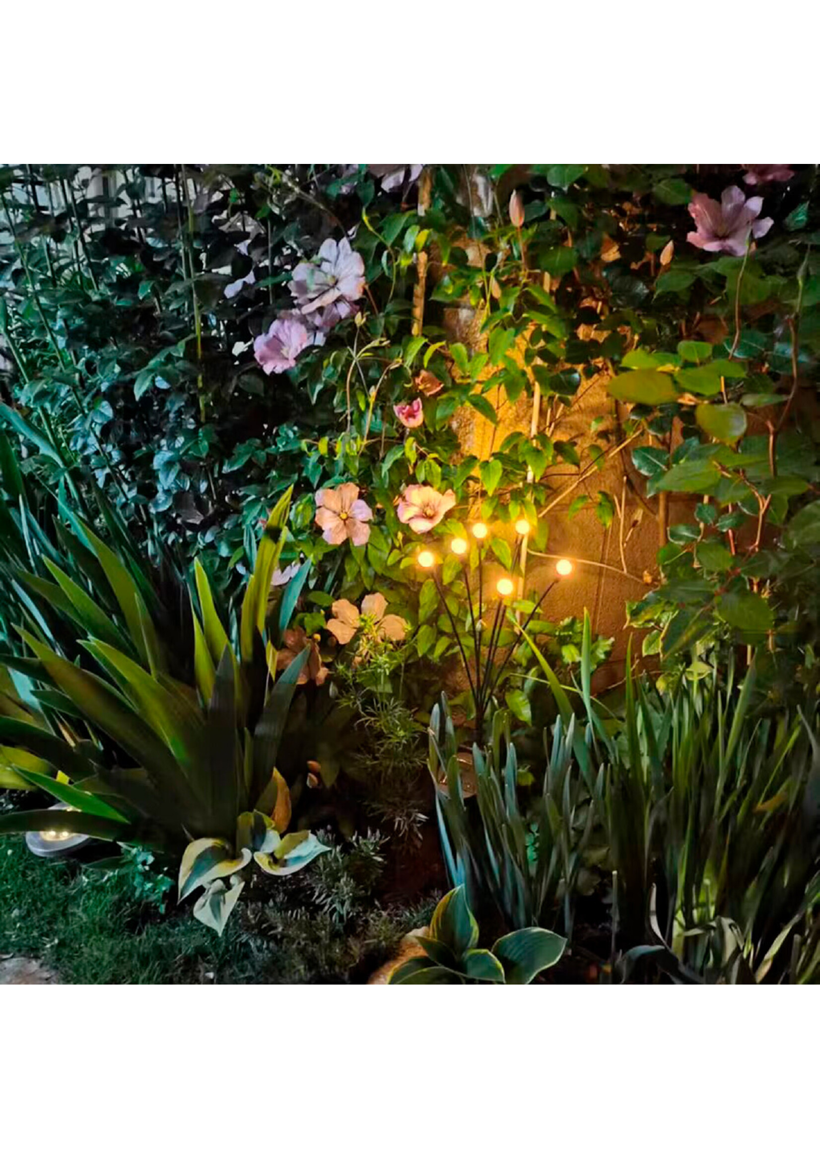 Lumineo Solar Planter Popping 6 LED Warm White Lights