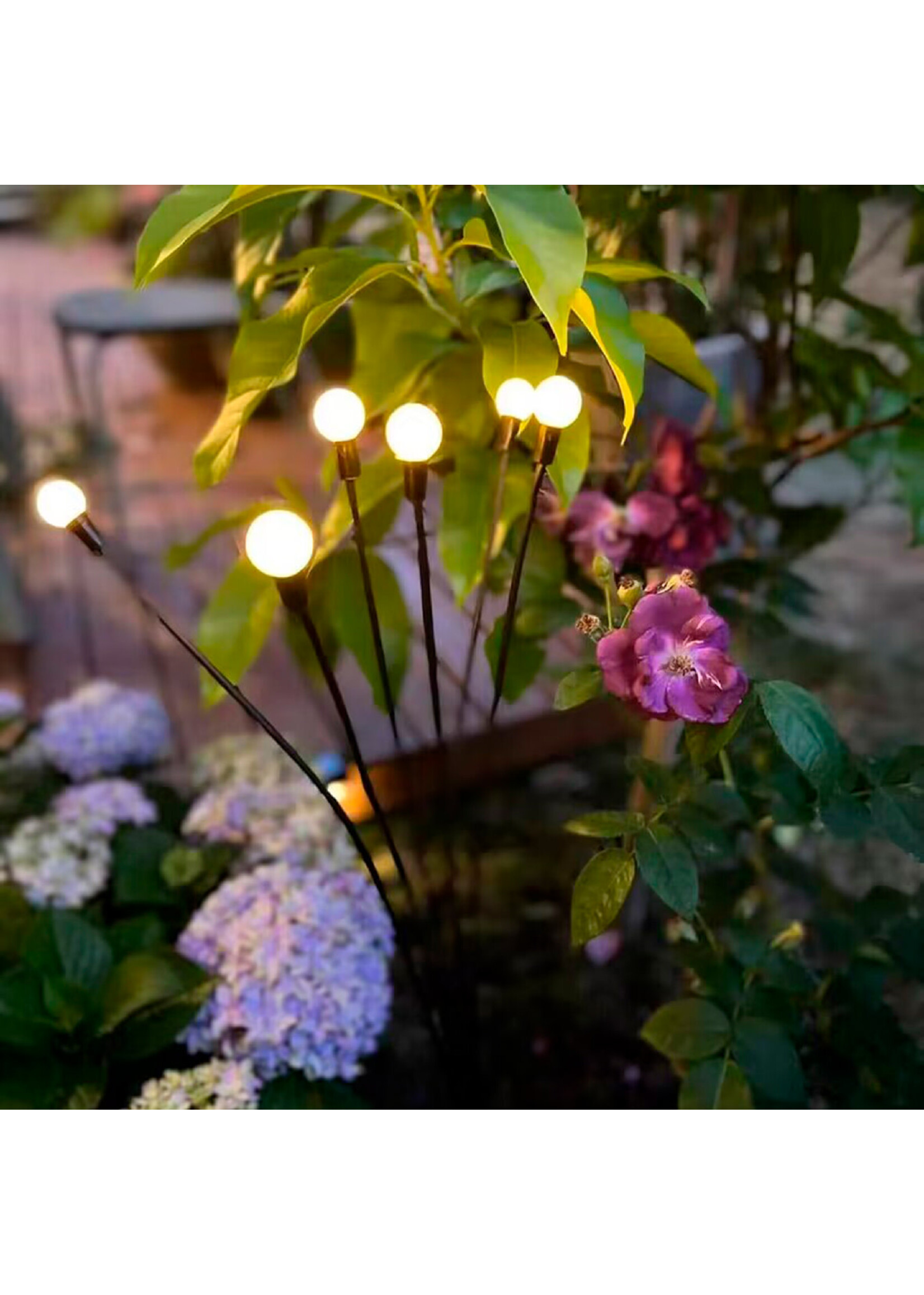 Lumineo Solar Planter Popping 6 LED Warm White Lights