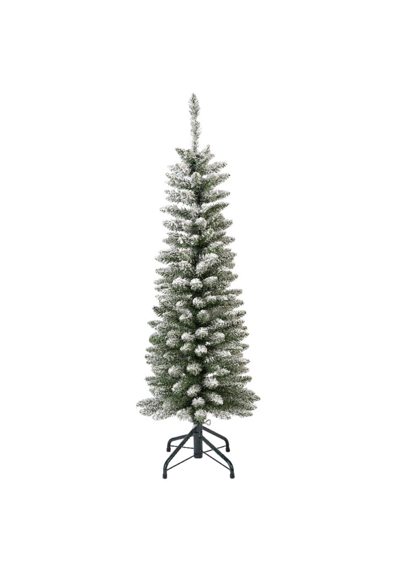 Snowy Slim Pencil Pine Tree 1.2m 4ft