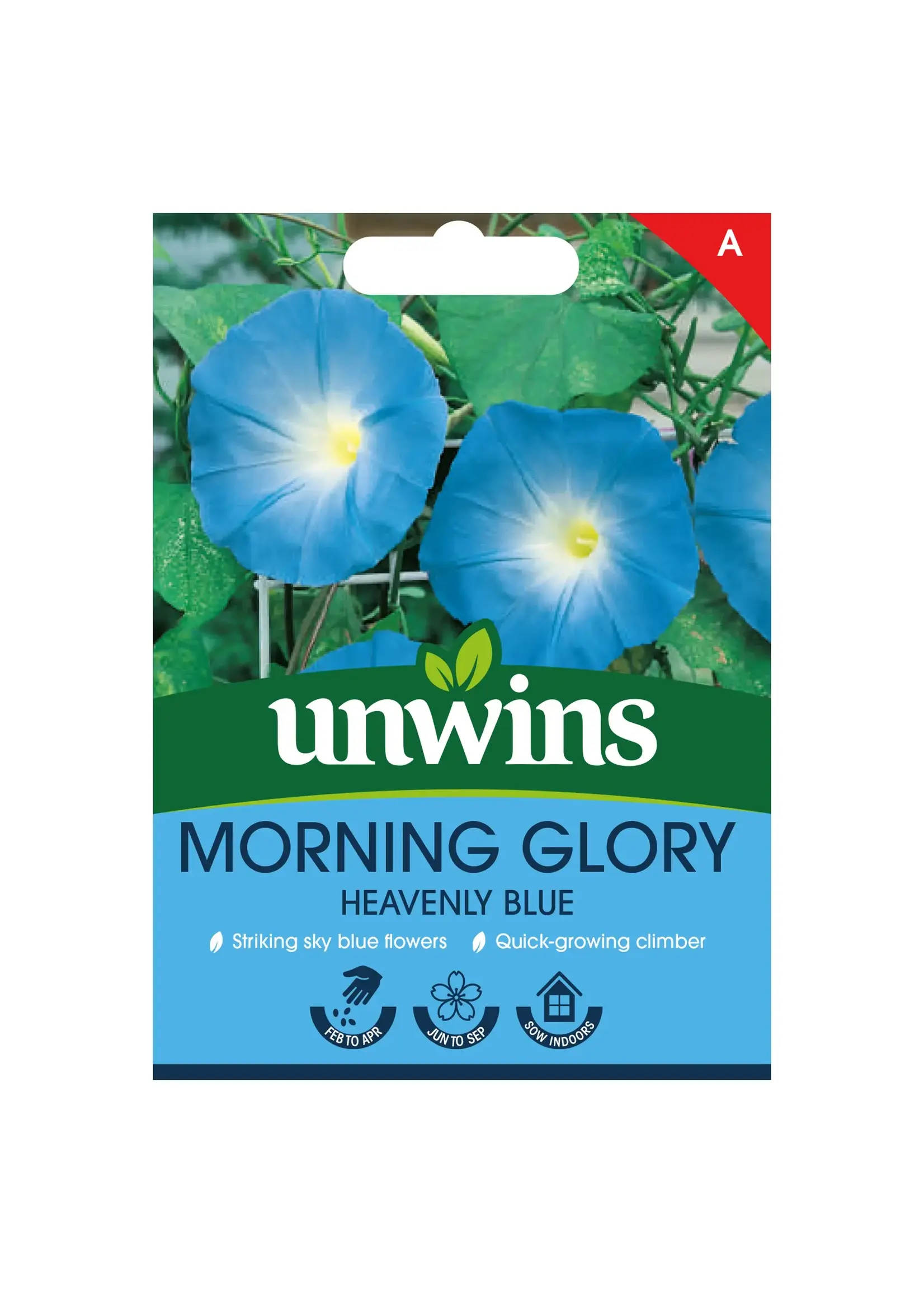 Unwins Morning Glory - Heavenly Blue