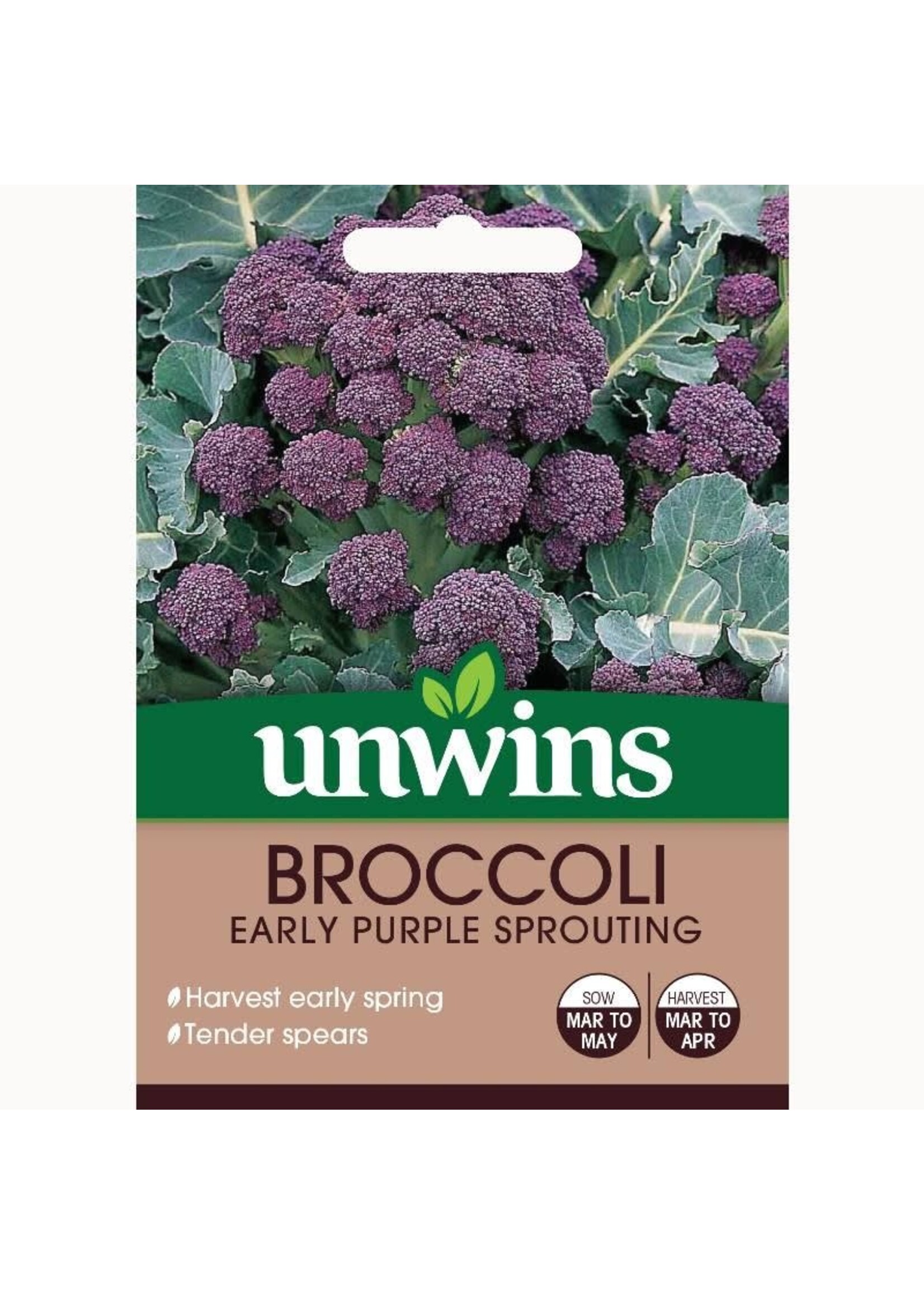 Unwins Broccoli - Early Purple Sprouting