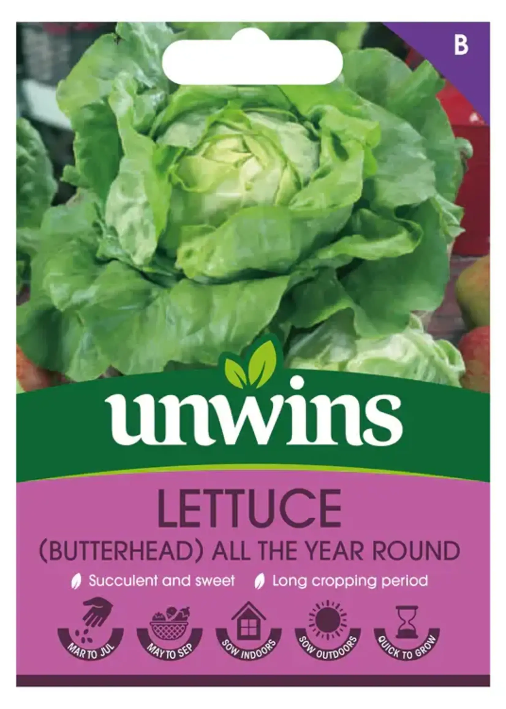 Unwins Lettuce (Butterhead) - All the Year Round
