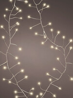 Lumineo Warm White Pin Compact Lights 100 LED  Battery