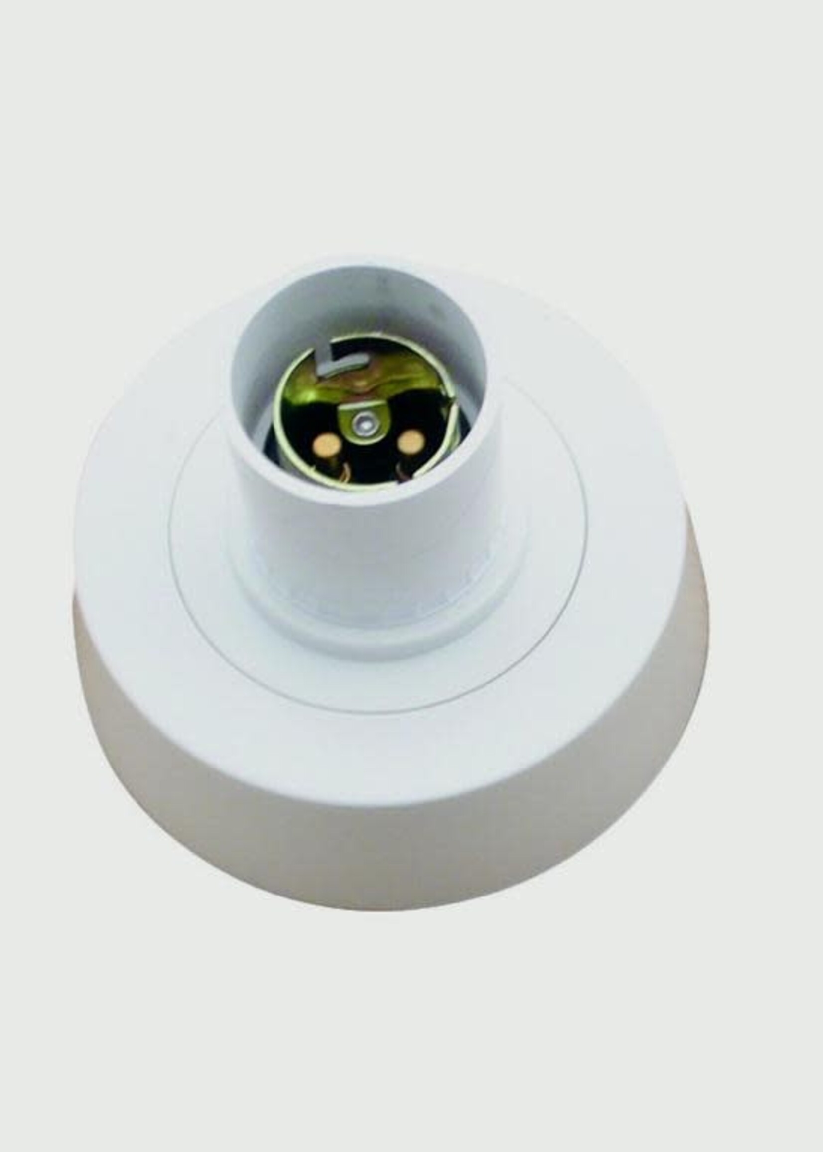 Securlec Securlec Batten Holder Ceiling Rose B22 / BC