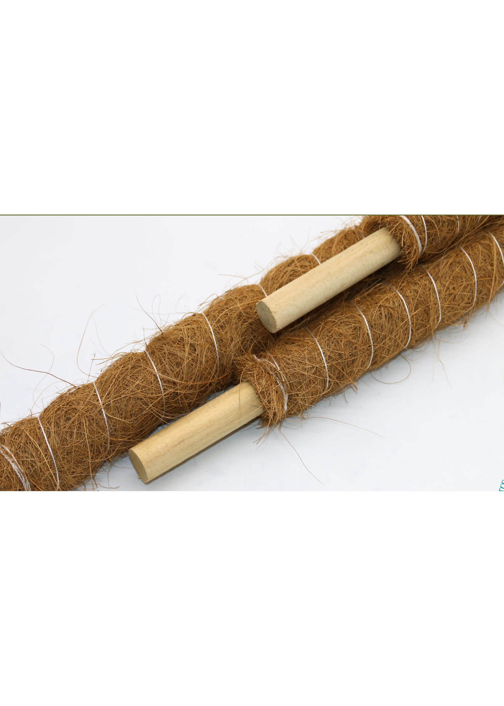 Coir Coir Moss Grow Pole 120cm (X)