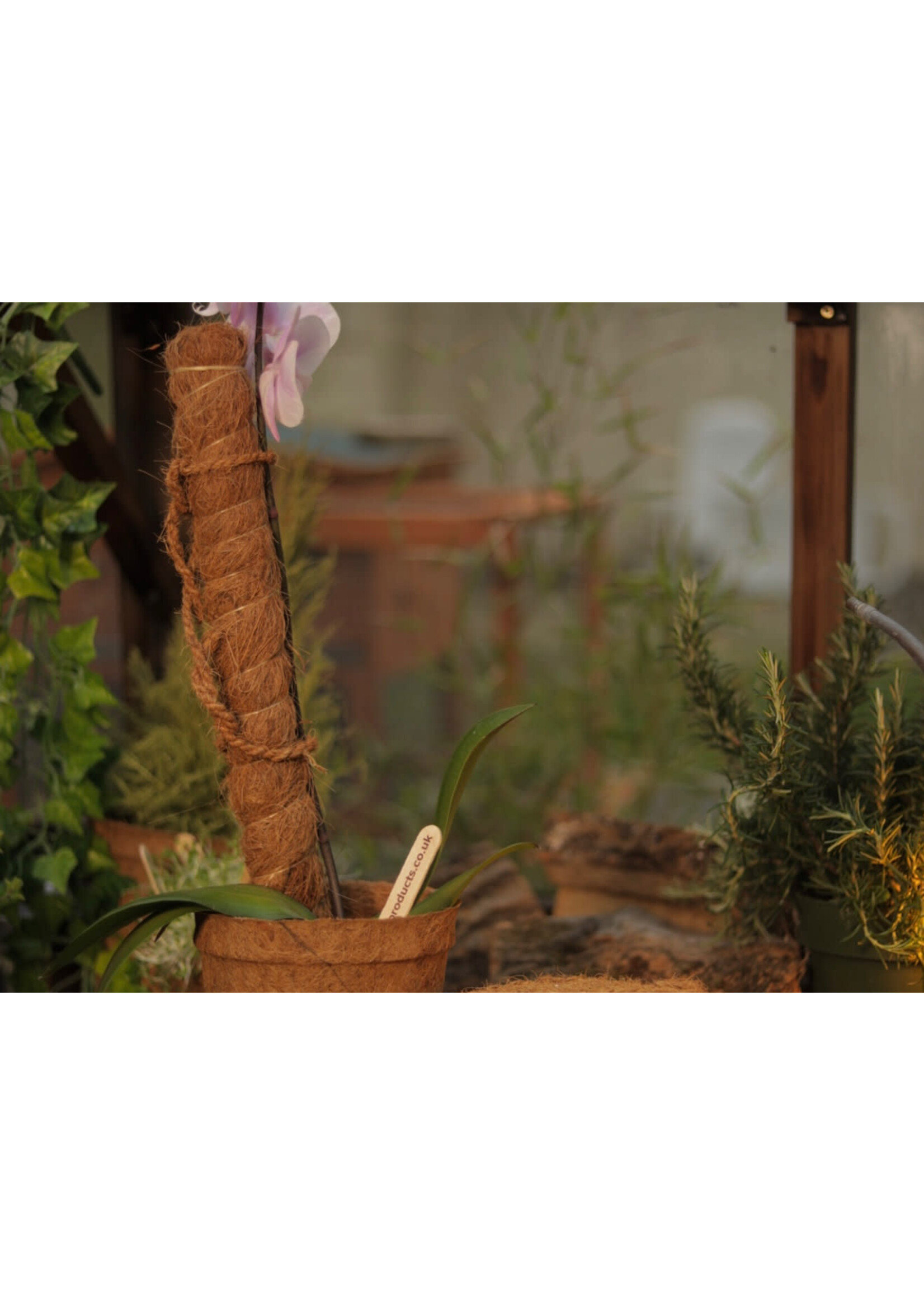 Coir Coir Moss Grow Pole 120cm (X)