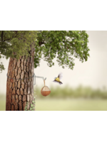 Tree Hanging Hook For Bird Feeders - No screws