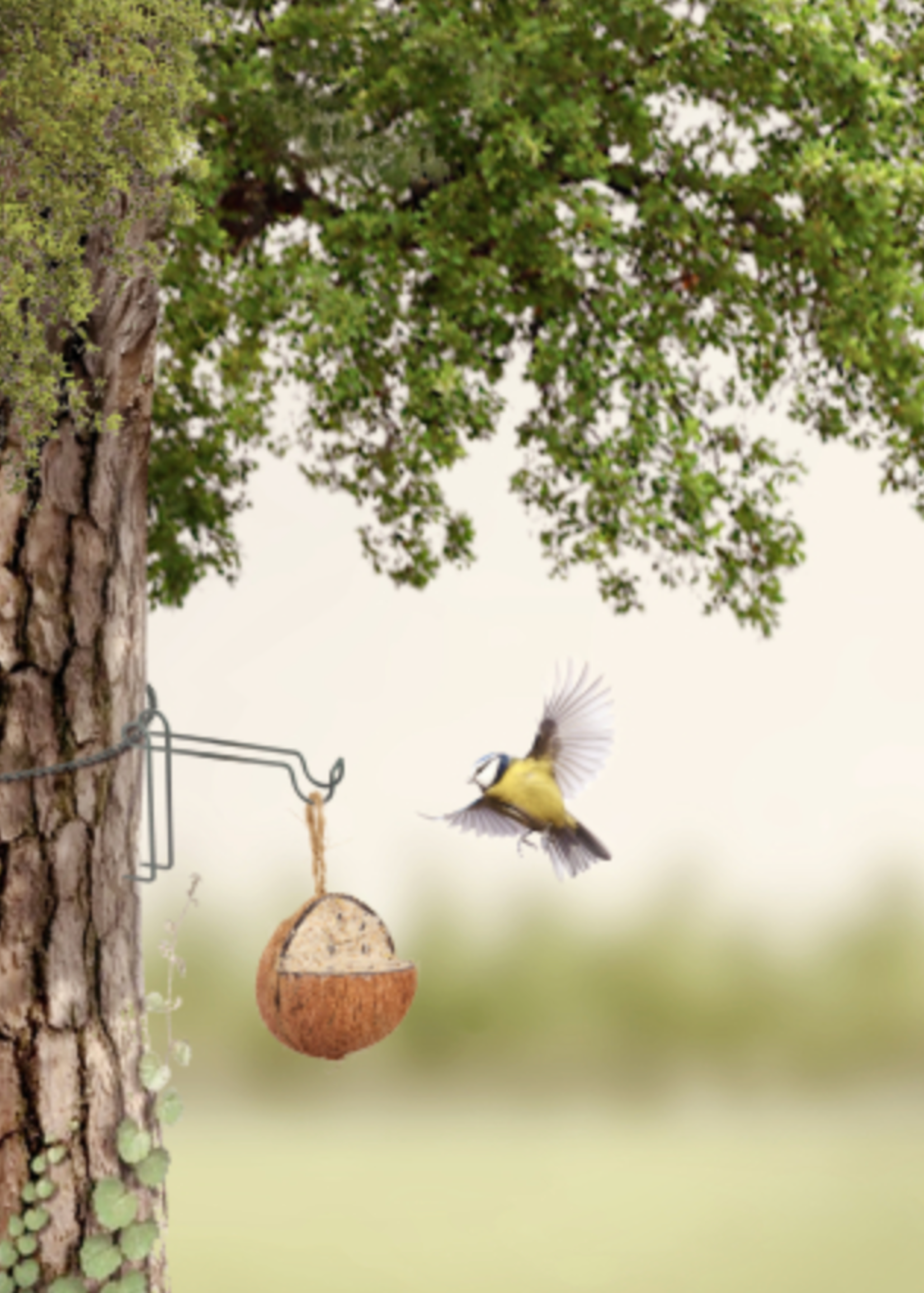 Tree Hanging Hook For Bird Feeders - No screws