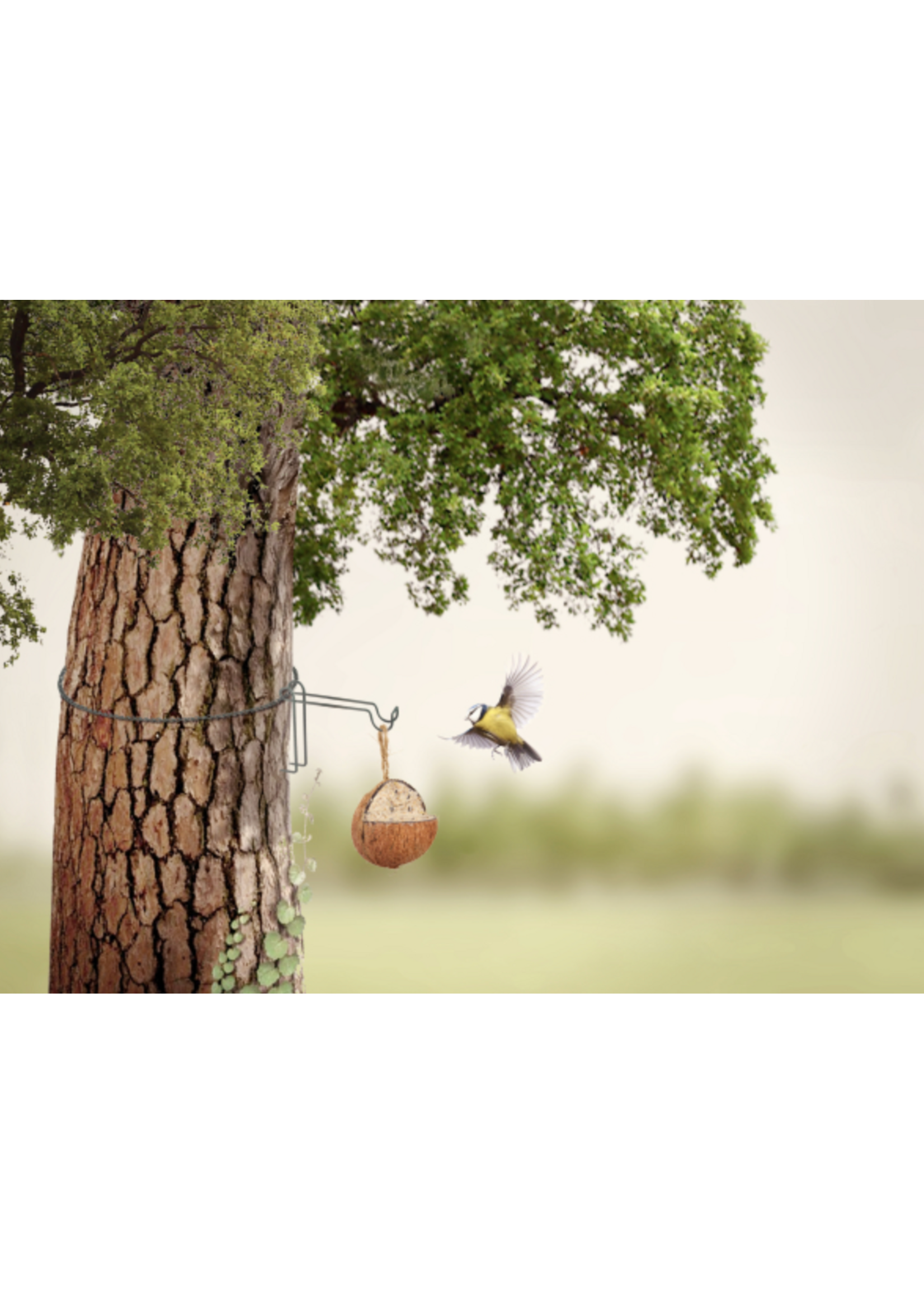 Tree Hanging Hook For Bird Feeders - No screws